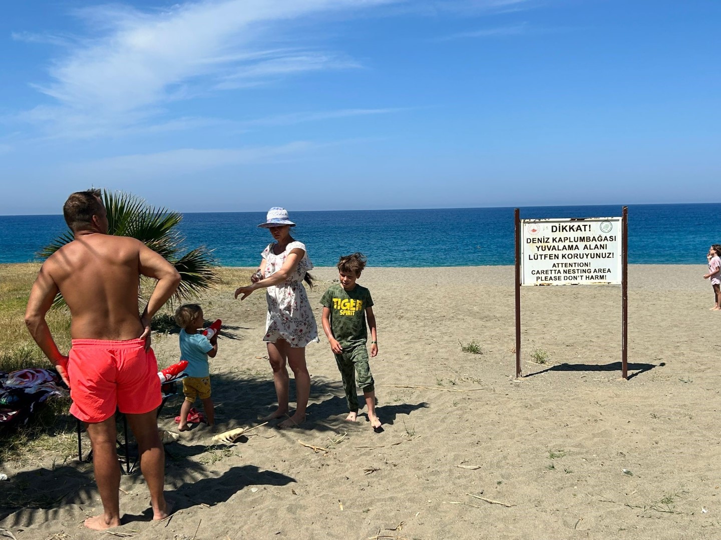 Gazipasa Caretta Caretta (3)