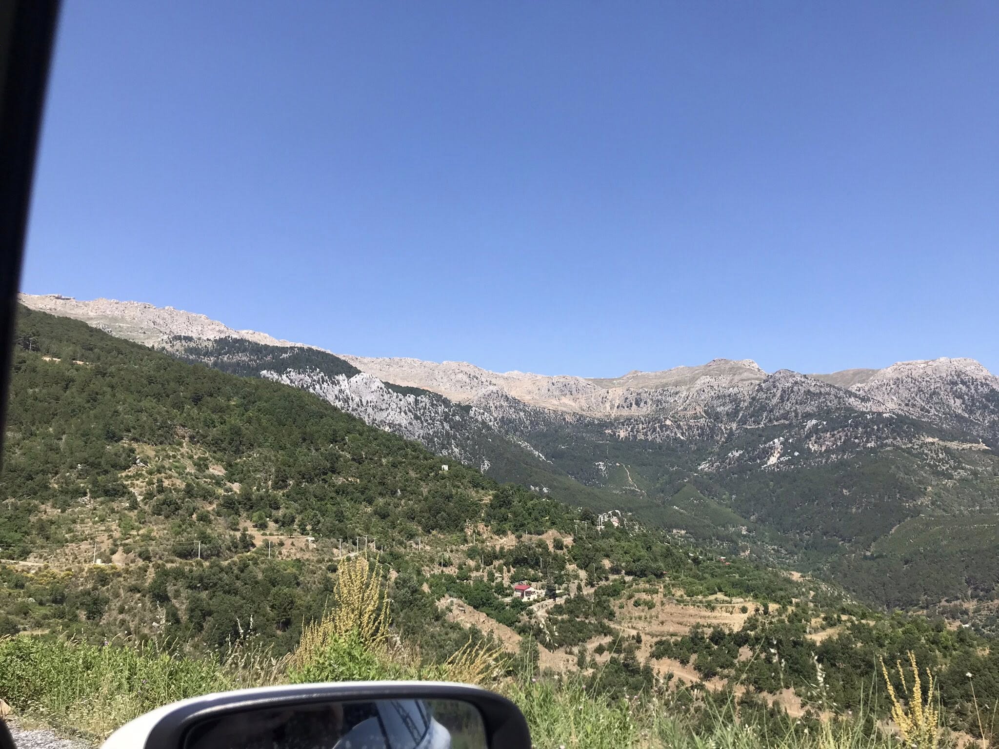 Gazipasa Kaspazarında Deniz Fosili Cikti (5)