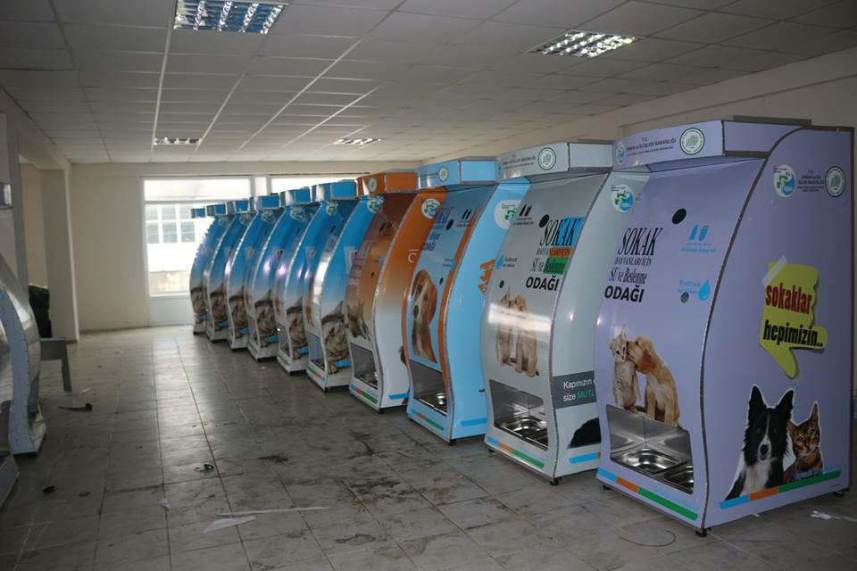 Geri Dönüşüm (7)