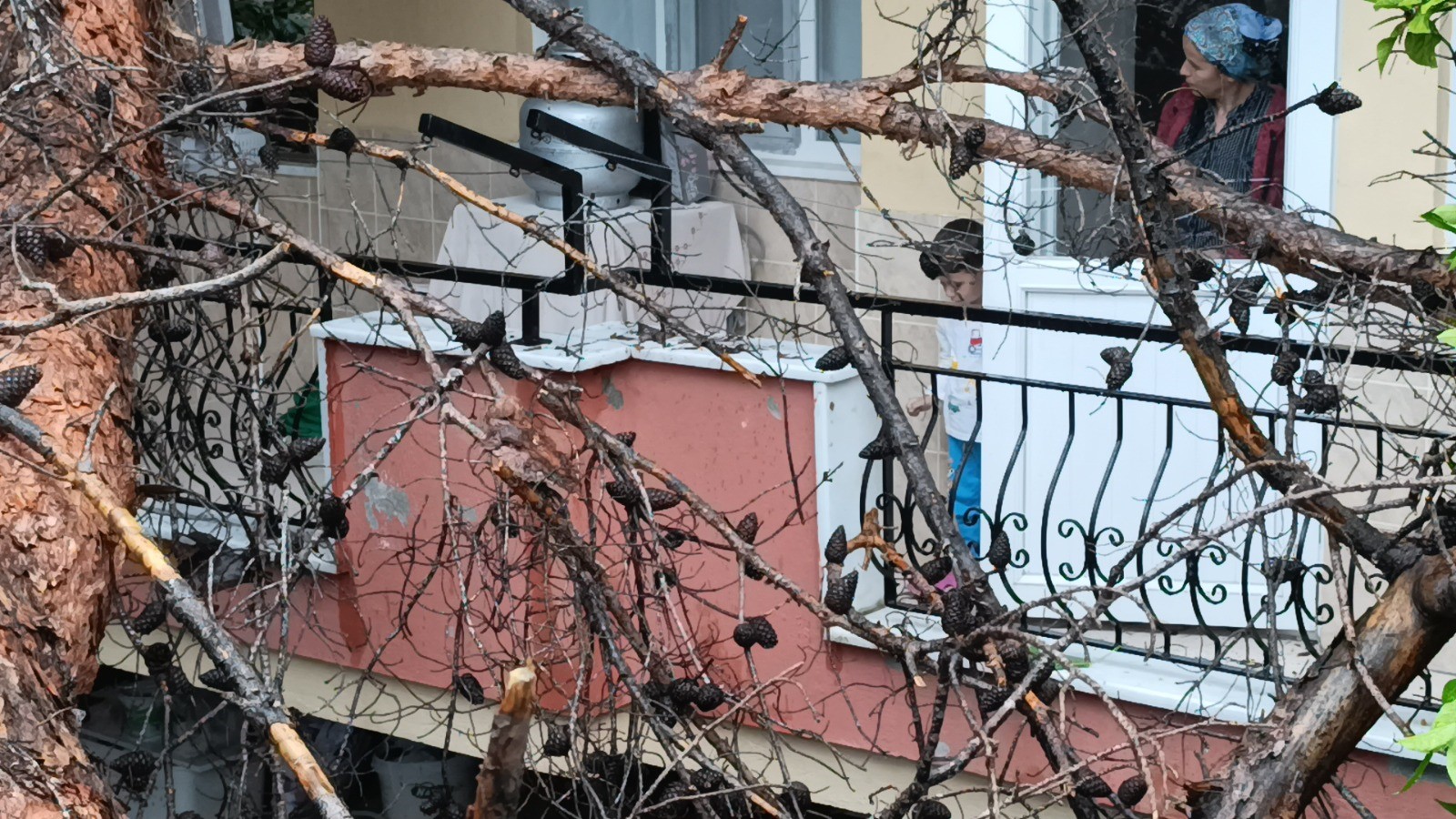 Hayatlarının Şokunu Yaşadılar (1)