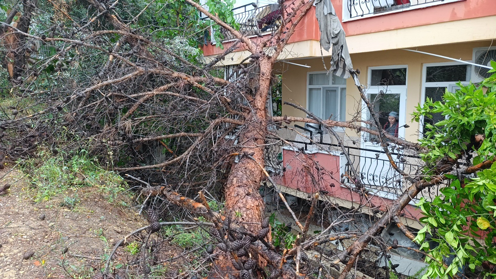 Hayatlarının Şokunu Yaşadılar (2)