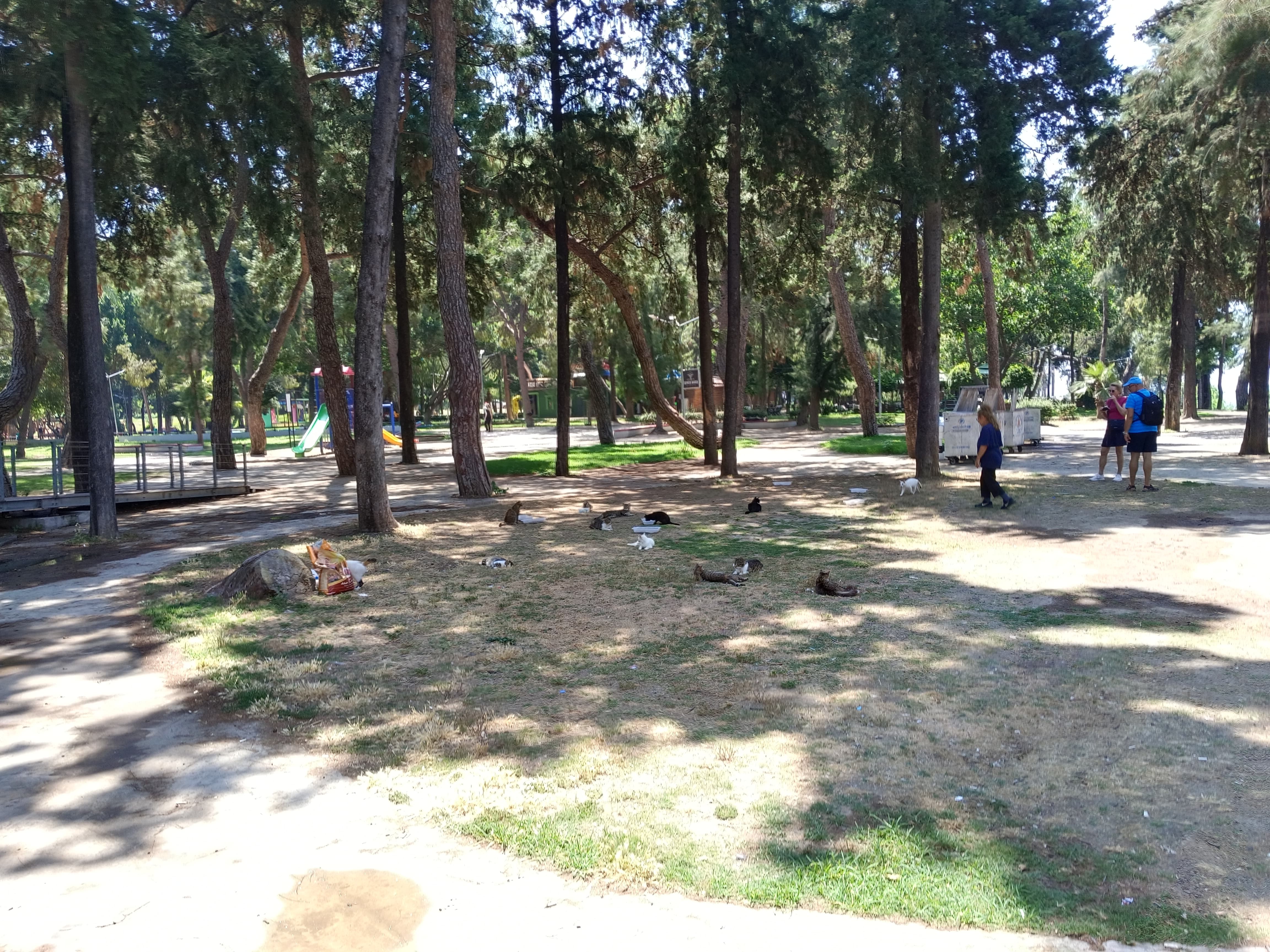 Karaalioglan Parkina Nasil Gidilir