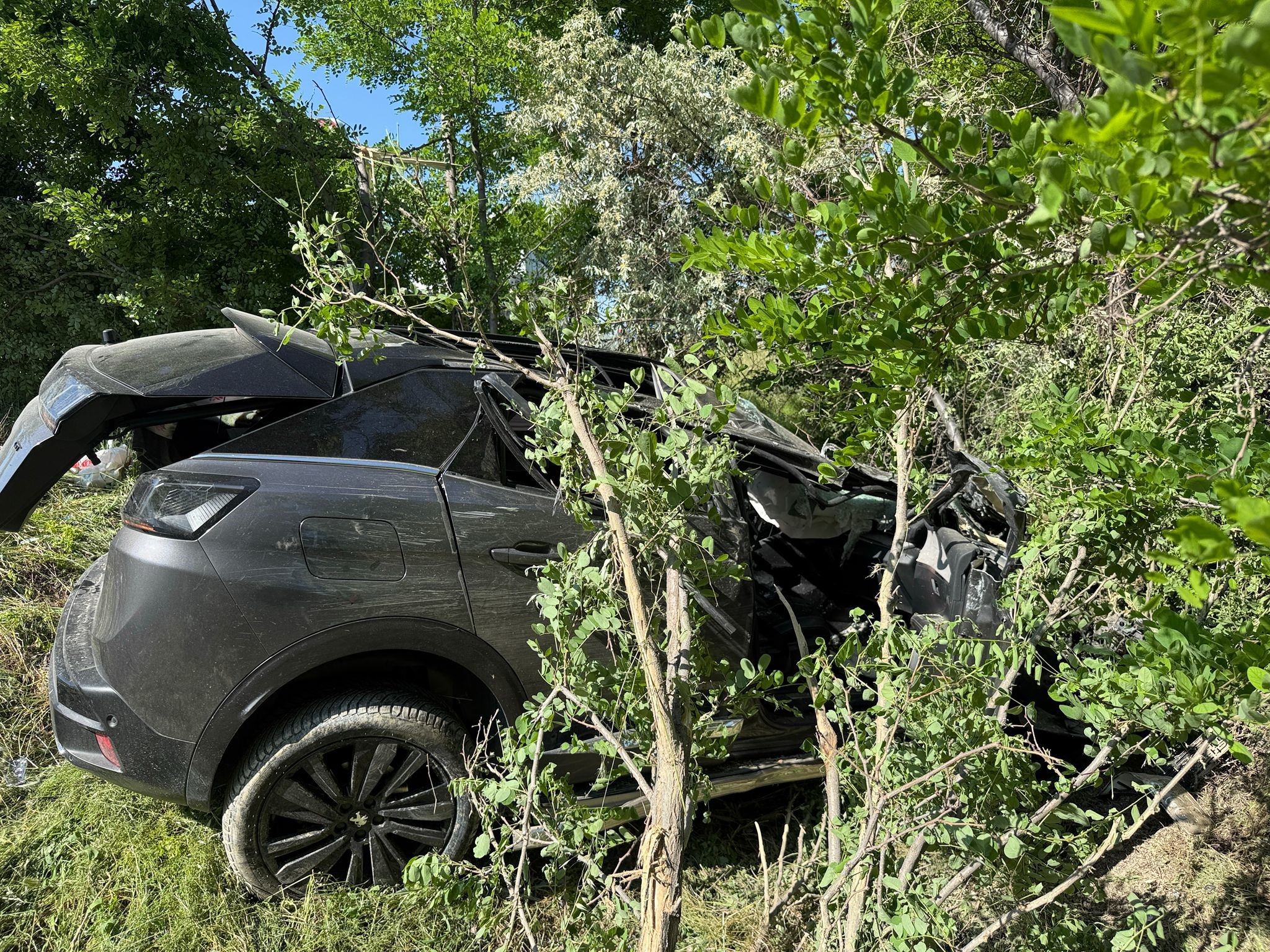 Kontrolden Çıkarak Ağaçlık Alana Giren Otomobilde 3 Kişi Yaralandı (3)