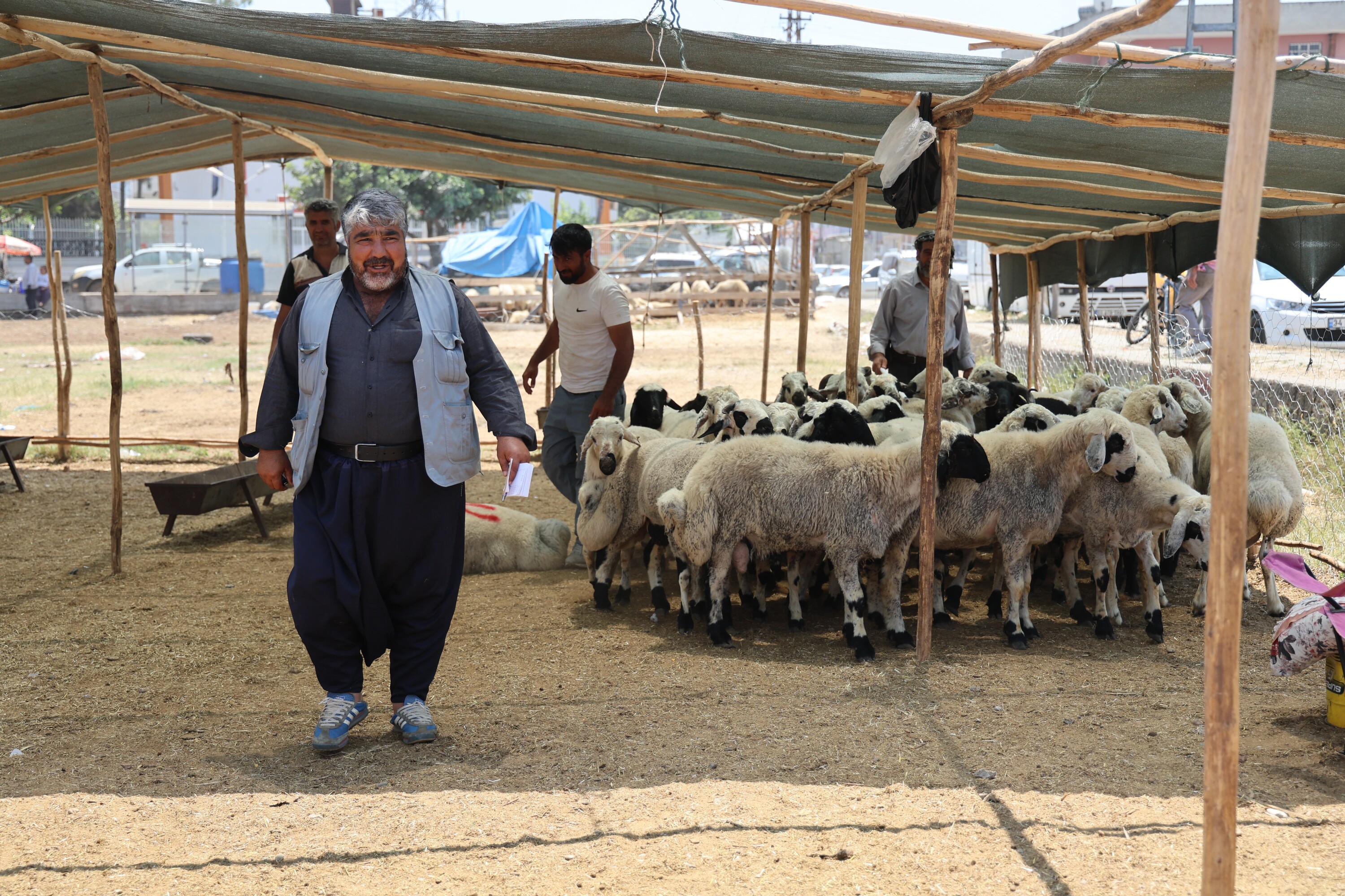 Kurbanlık Fiyatları Yüzde 40 Düştü (2)
