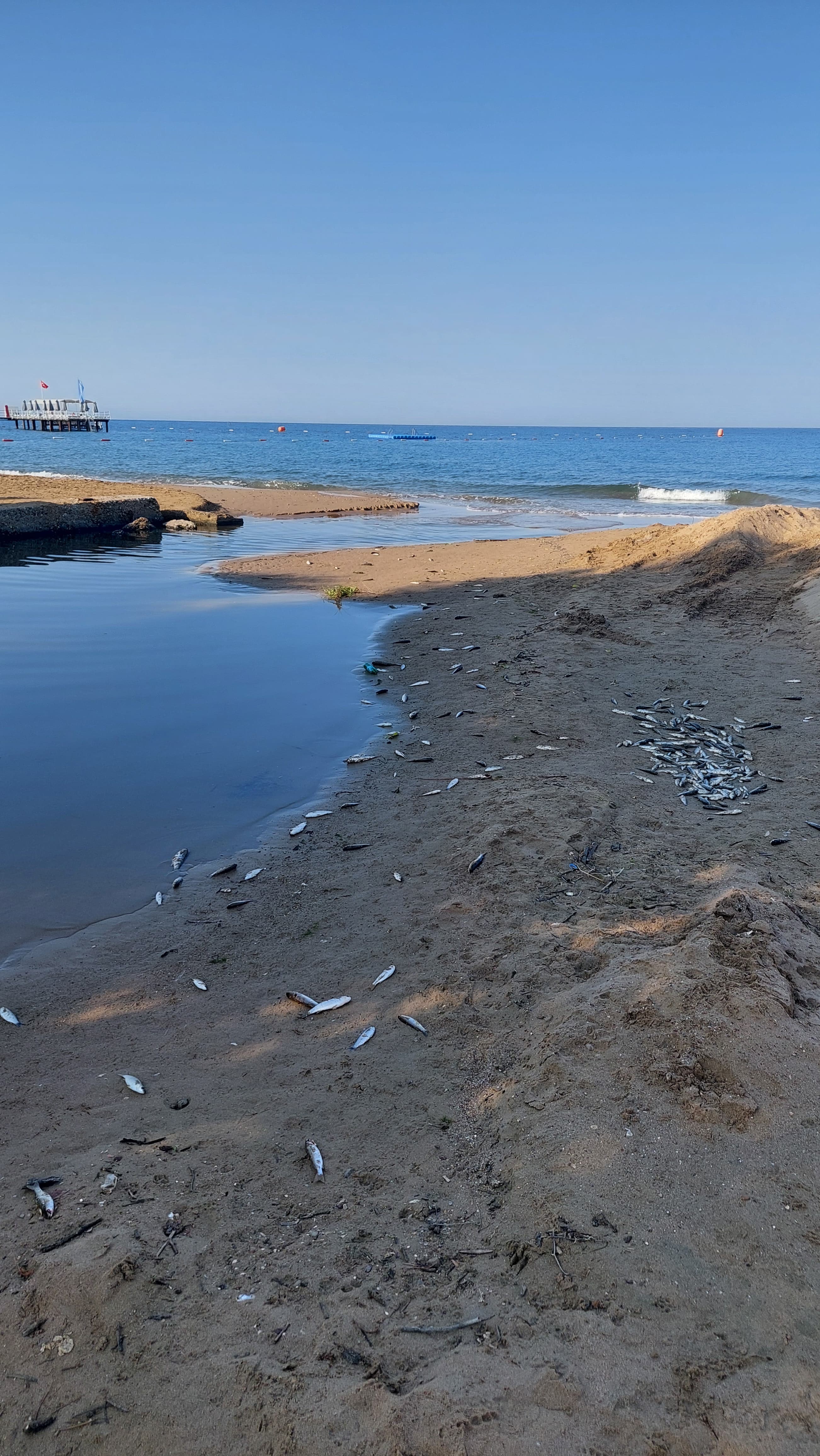 Manavgat Inceleme Altına Alındı! Su Kanallarında Büyük Endişe (2)