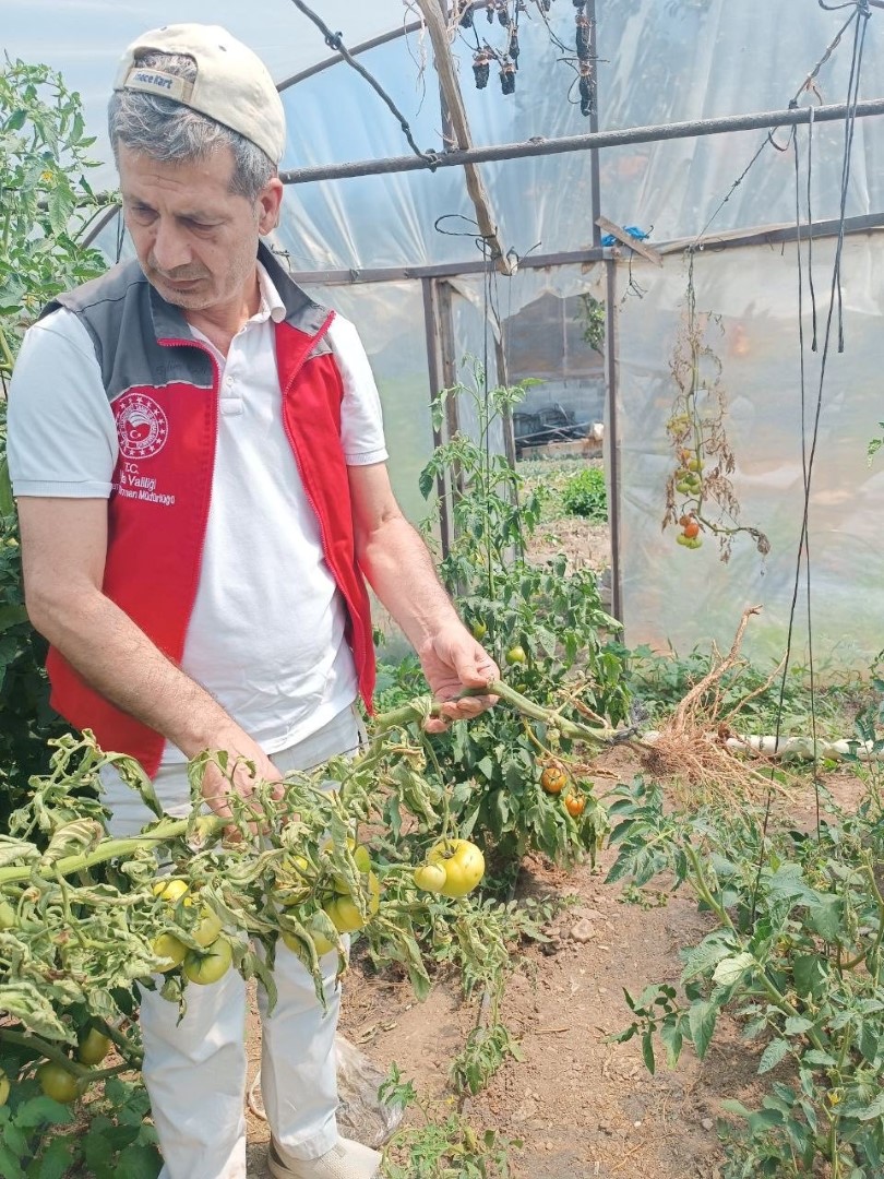 Menteşe (2)-1