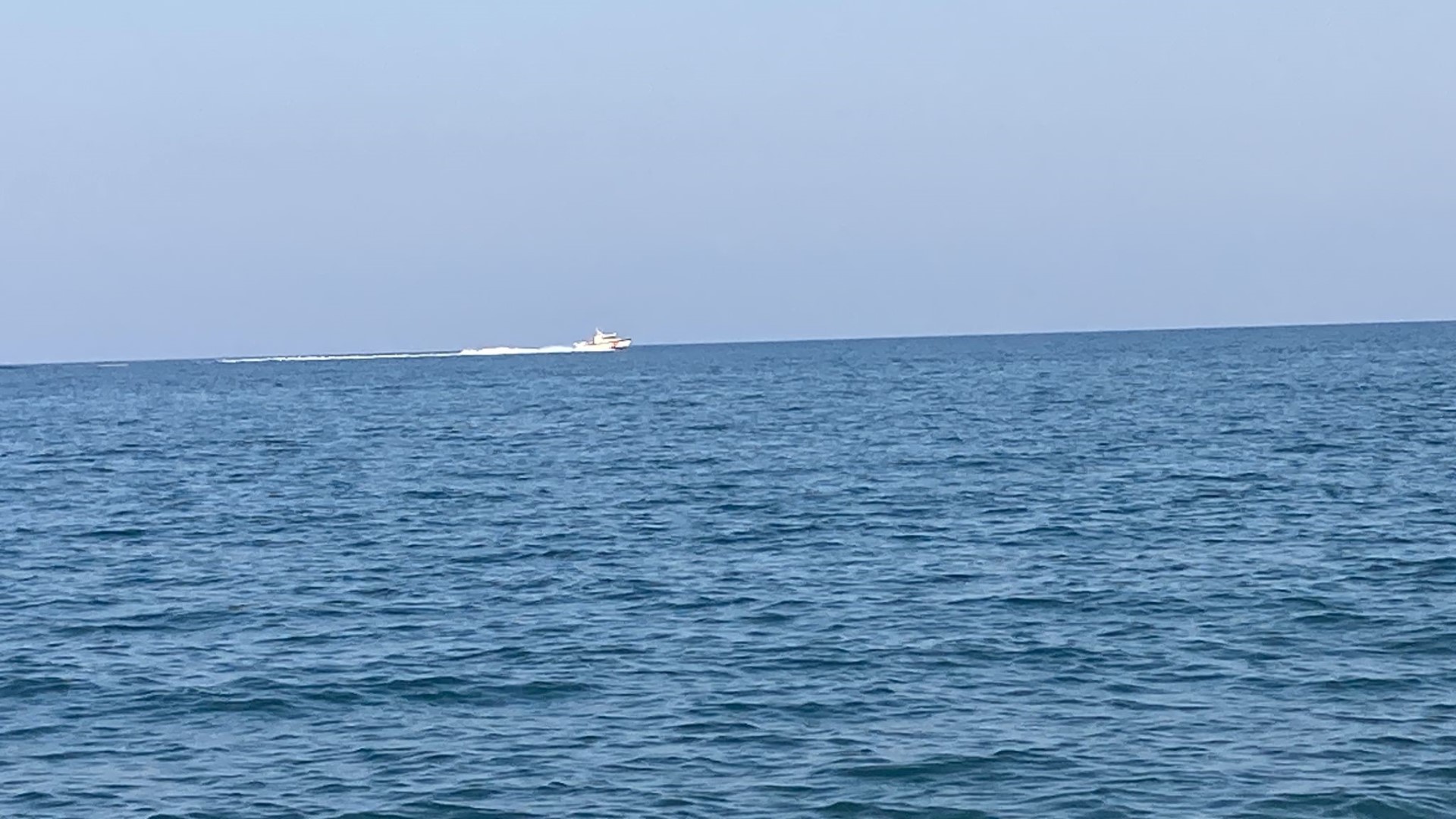Mersin Köpekbalığı Tehlikesi (1)