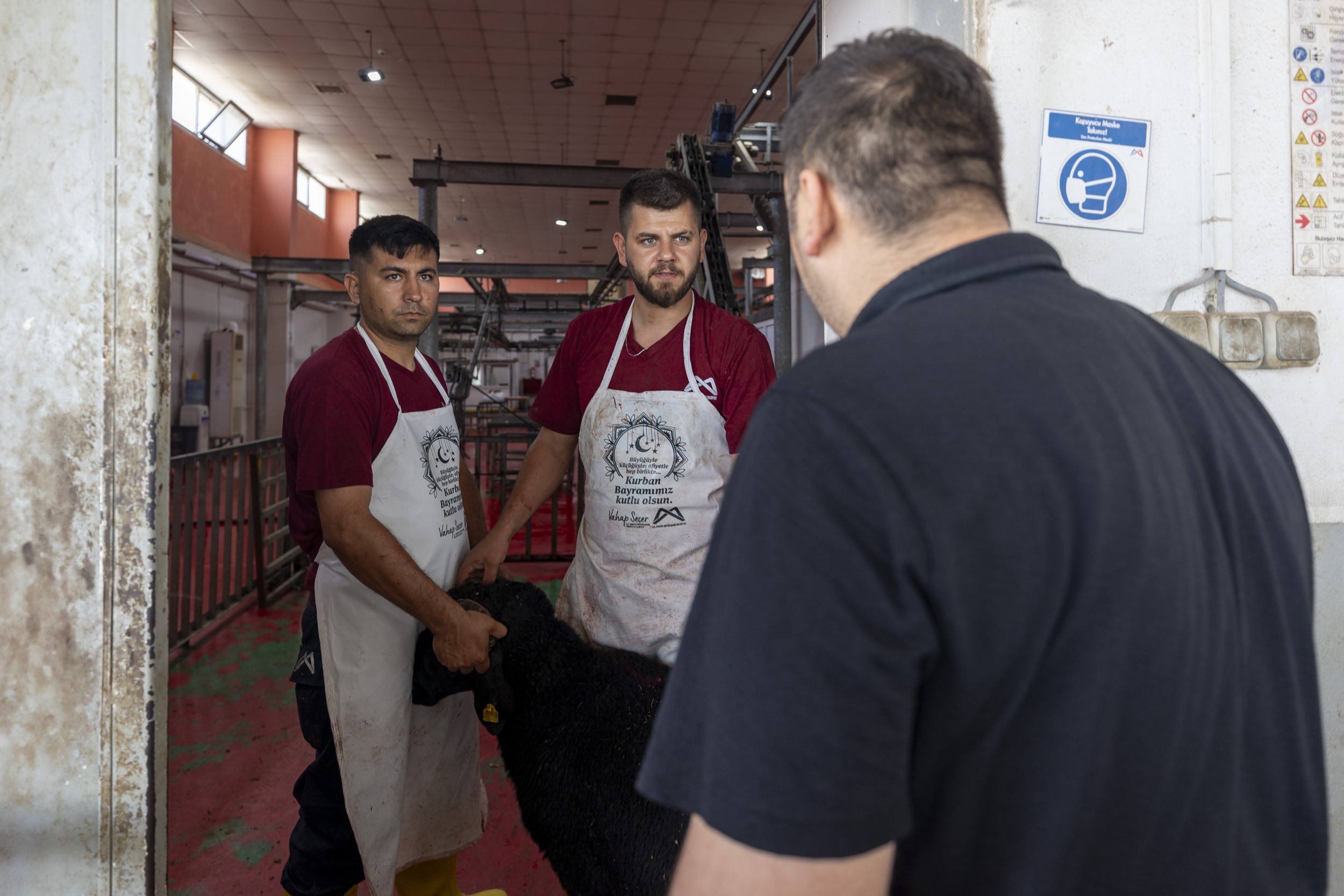 Mersin'de Kurban Kesimi Hem Hijyenik Hem Ücretsiz (1)