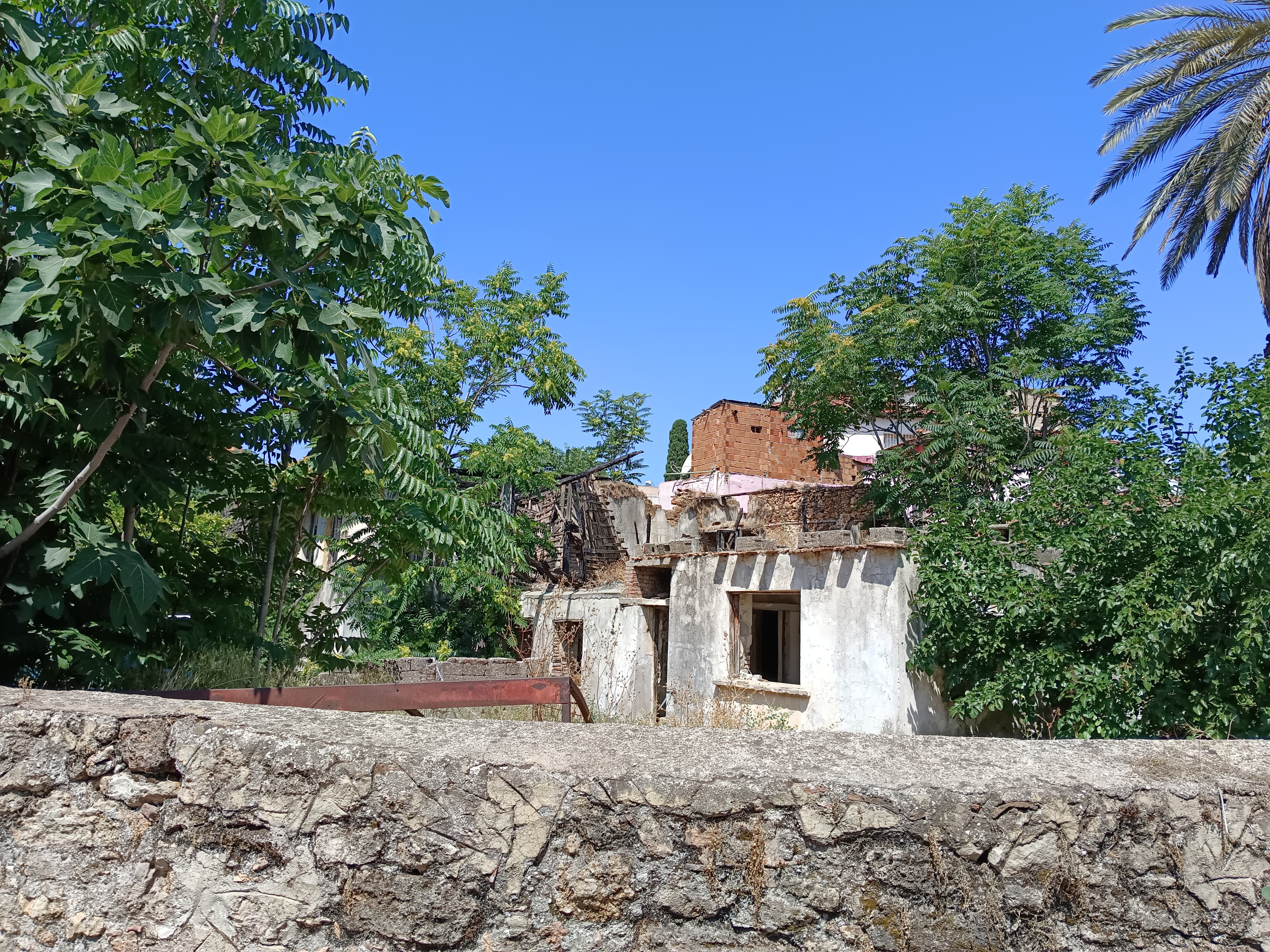 Mirasçılar (2)