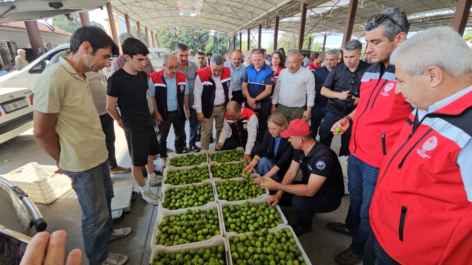 Nazilli'de Kaliteli Incir Için Kaliteli Ilek Denetimleri Sürüyor (5) (Large)