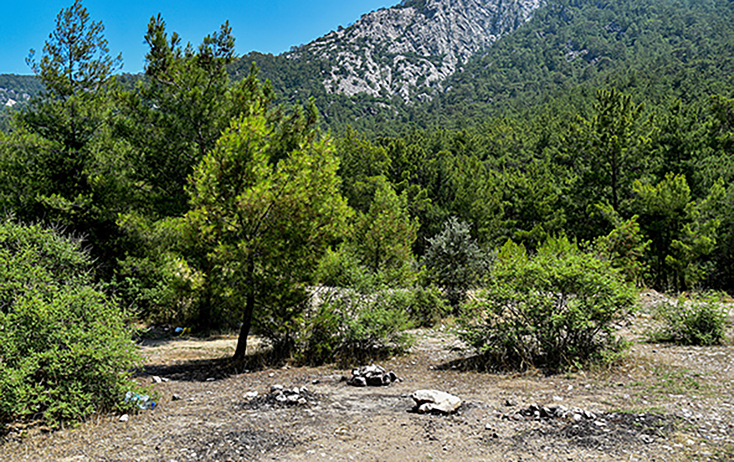 Ormanlarda Yangin Riski Gelisiguzel Cam (1)