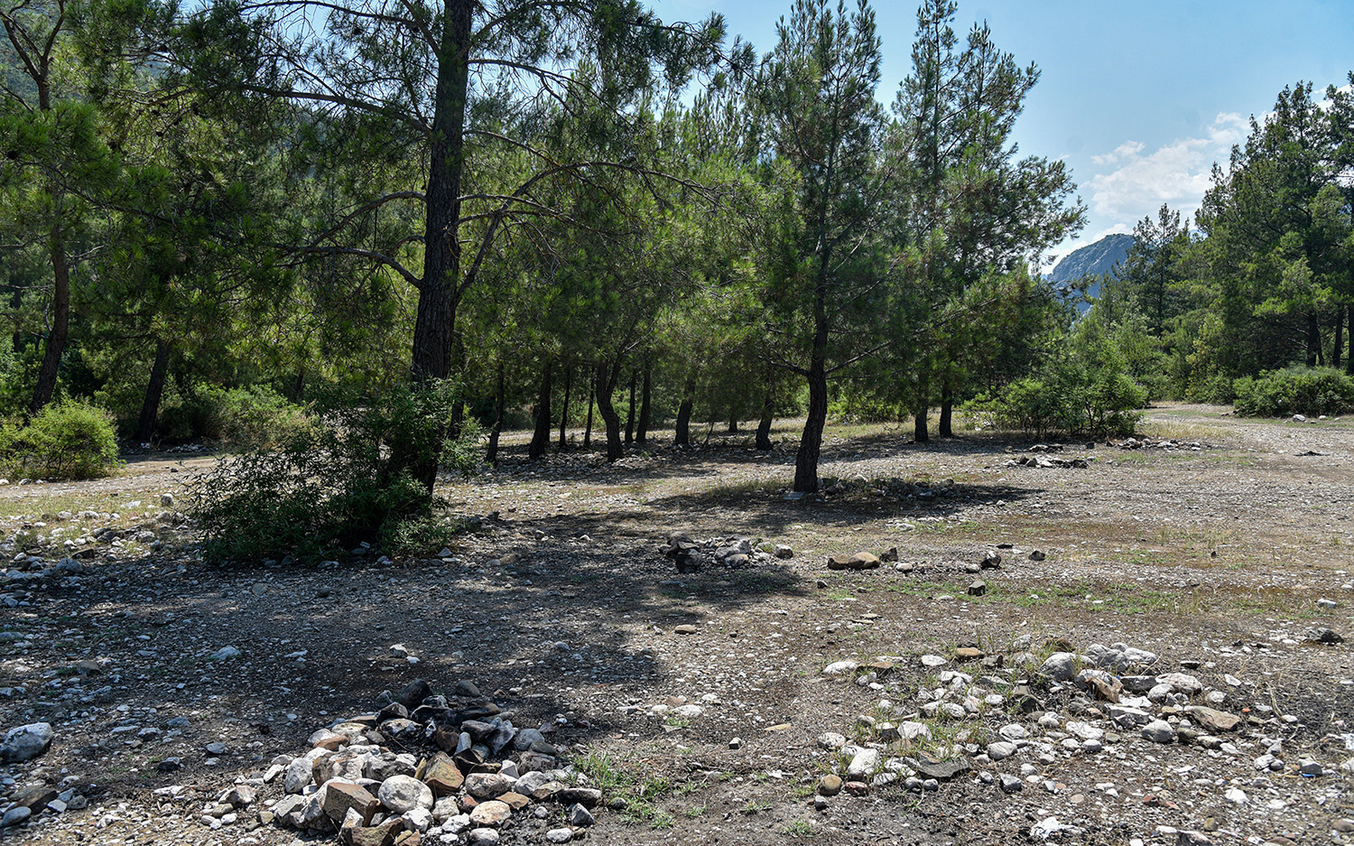 Ormanlarda Yangin Riski Gelisiguzel Cam (3)