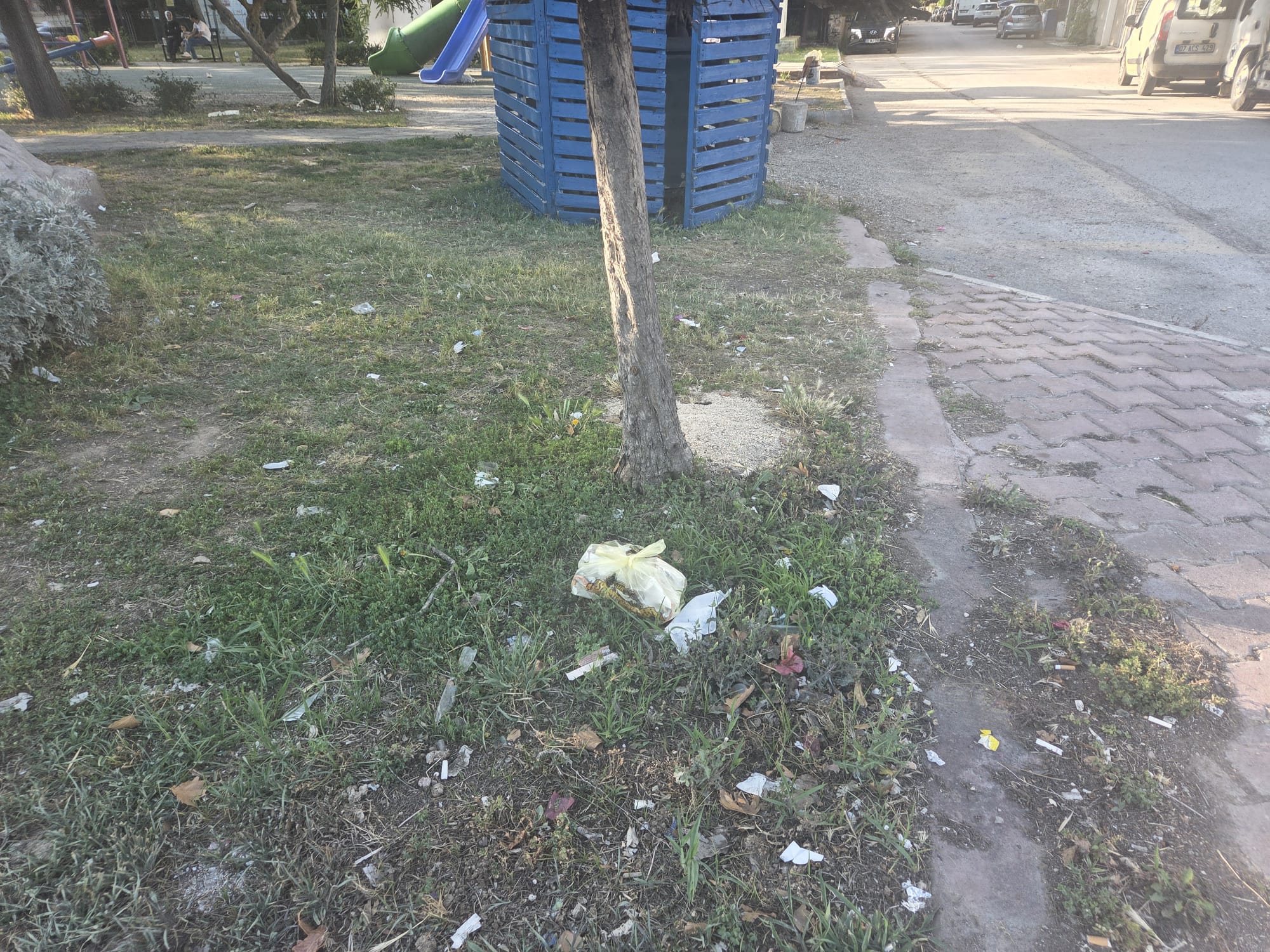 Otobus Ve Cevre Kirliligi (1)
