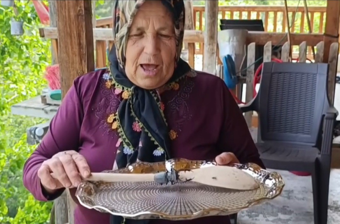 Parmak Büyüklüğünde Geyik Böceği Görüldü Cezası 557 Bin Tl (1)