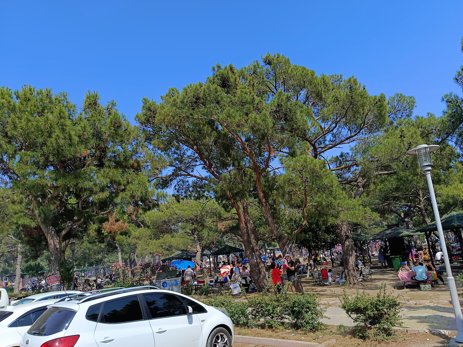Sarisu Piknik Mesire Alani Giris Ucreti