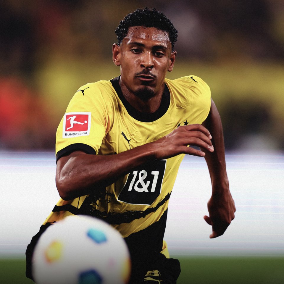 Sebastien Haller