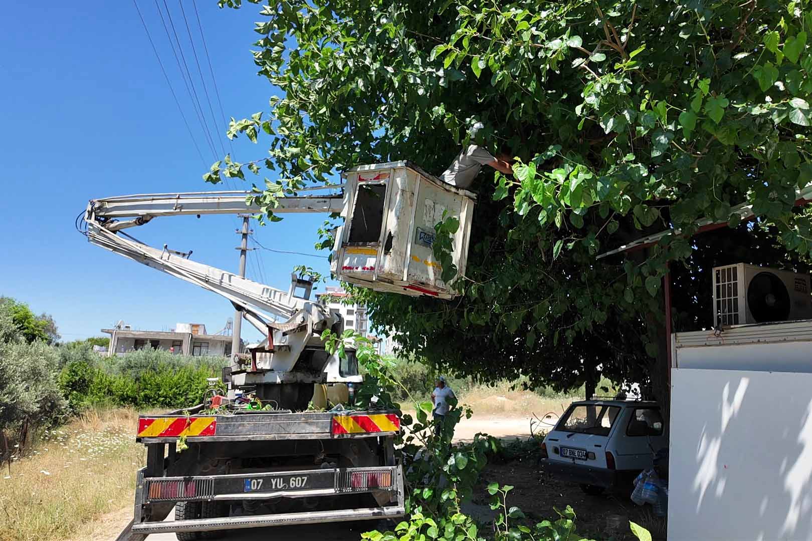 Serik'te Trafik Ve Çevre Düzenine Yönelik Çalışma (1)