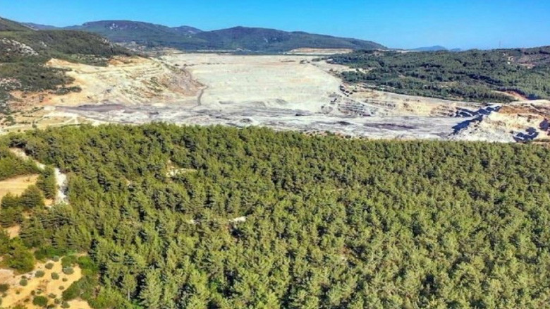 Tarım Orman (1)