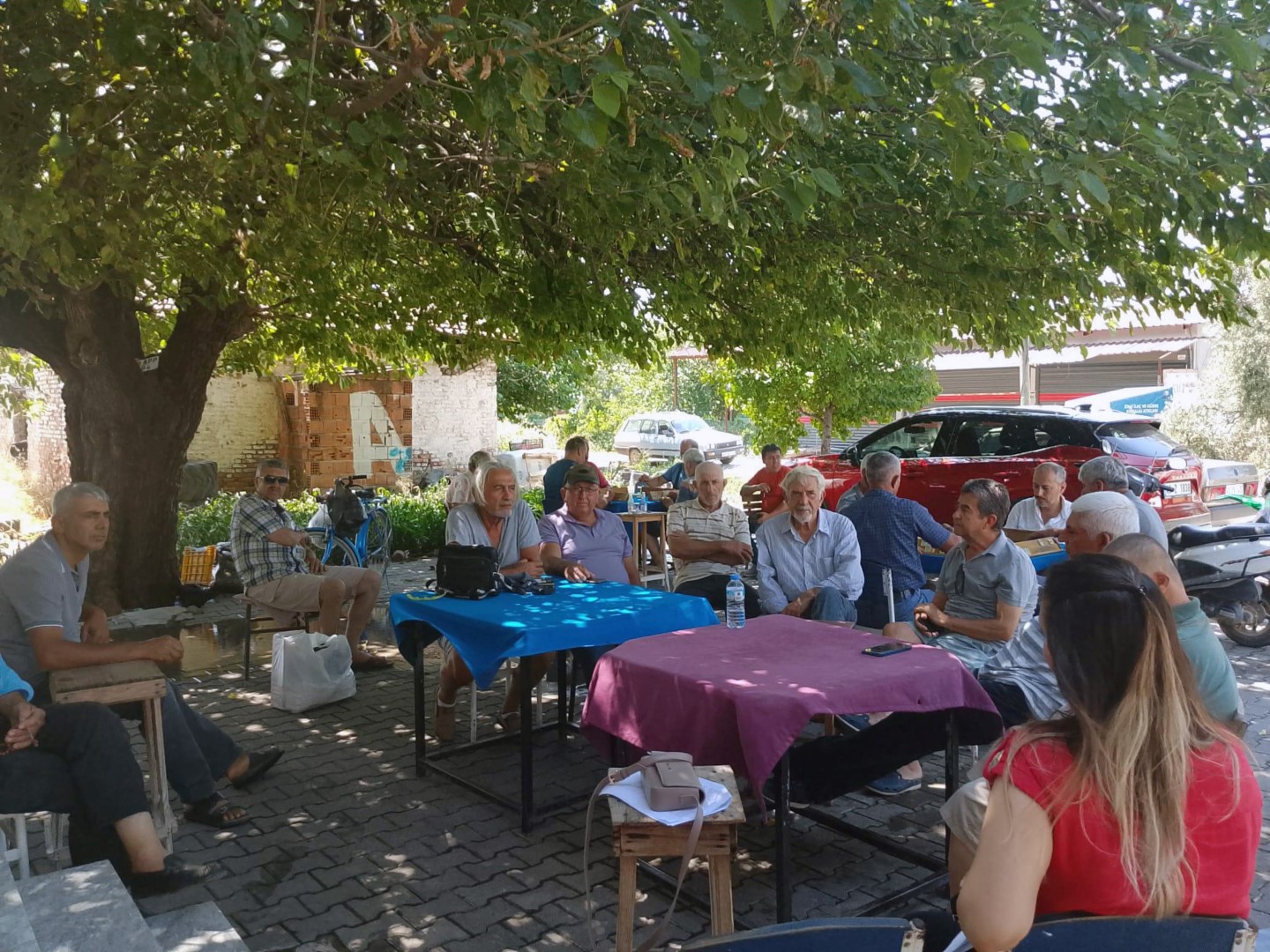 Tarım Sayımı (1)