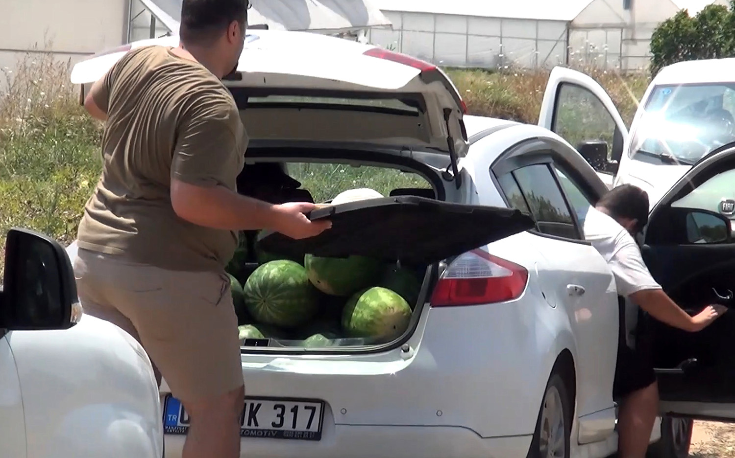 Tarladaki Karpuzları Vatandaşa Ücretsiz Dağıttı (1)