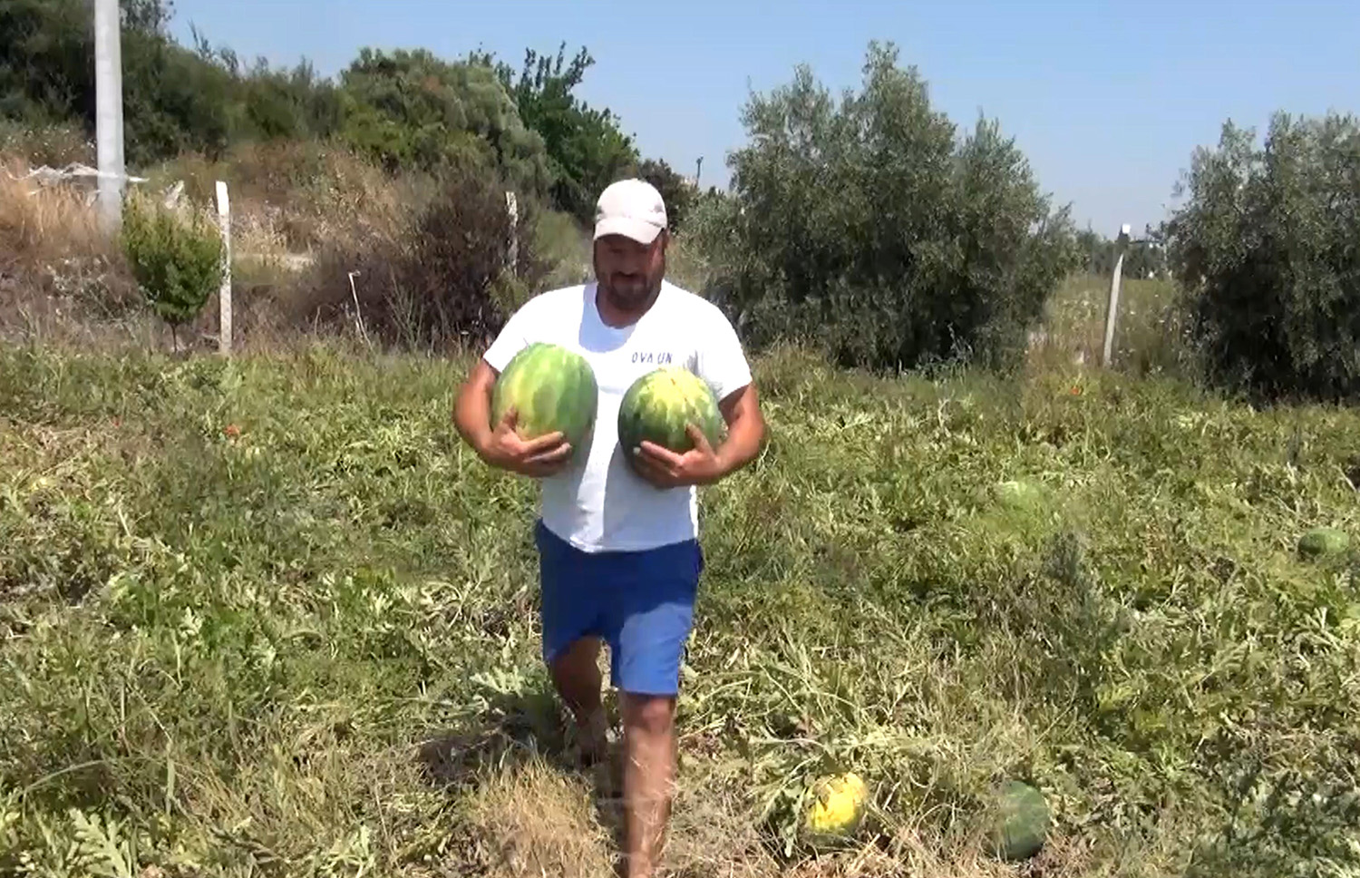 Tarladaki Karpuzları Vatandaşa Ücretsiz Dağıttı (2)