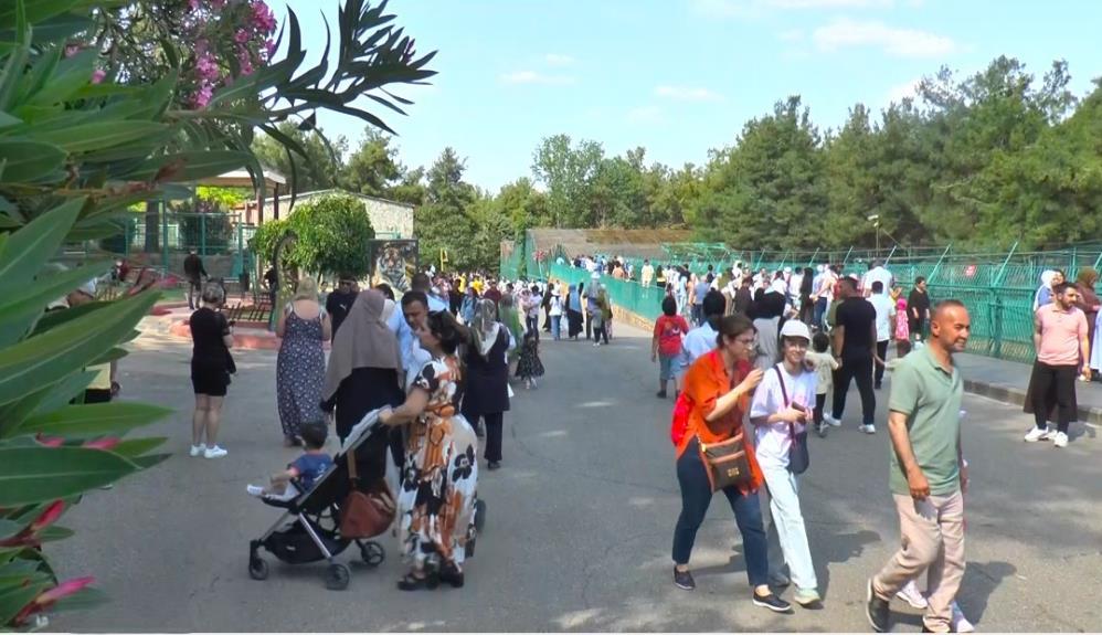 Yasam Alani Ilgi Gordu