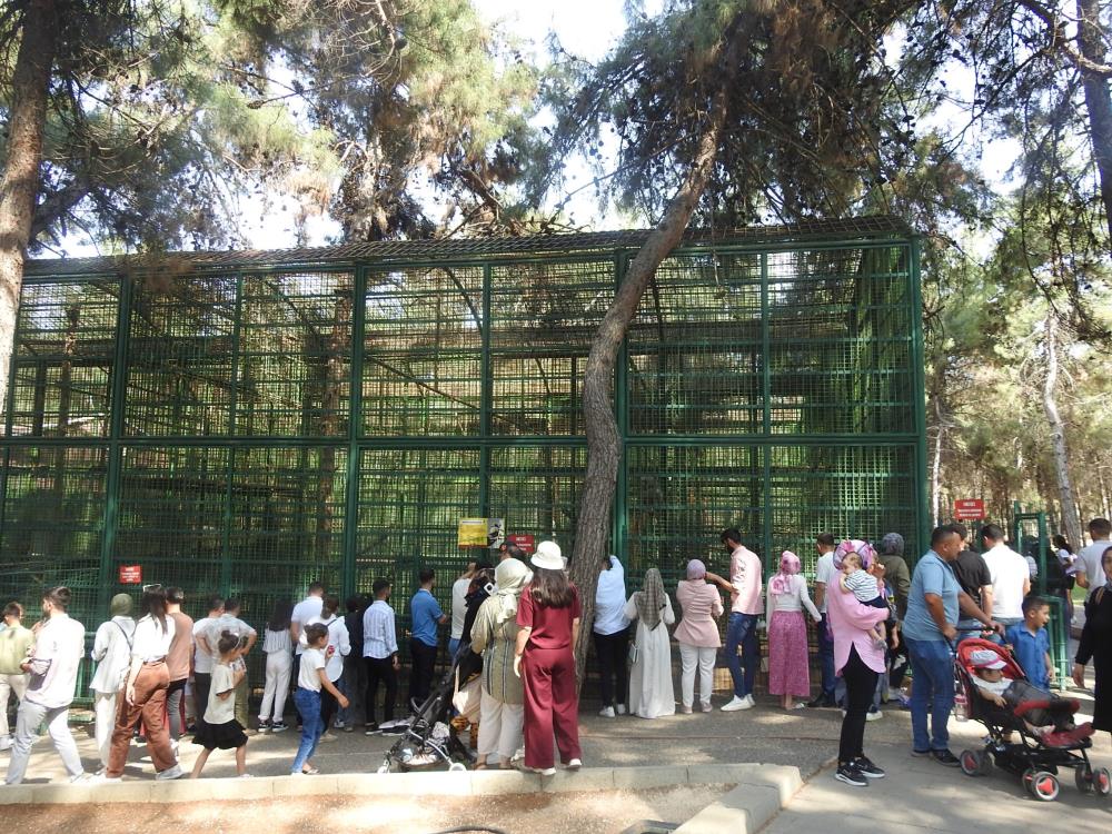 Yasam Alani Na Hucum