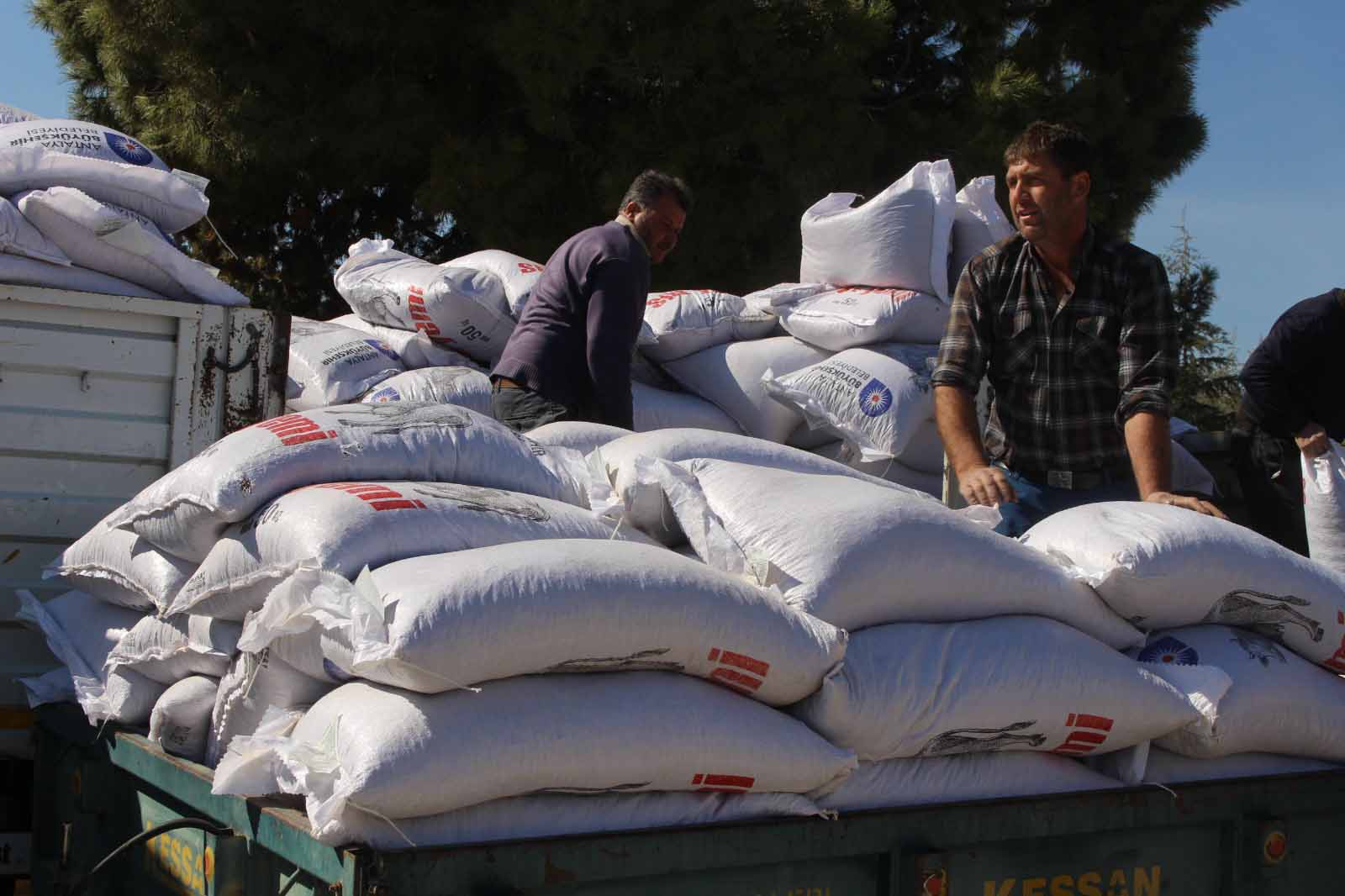 Yem Desteğiyle Süt Üretimine Güçlü Katkı (13)