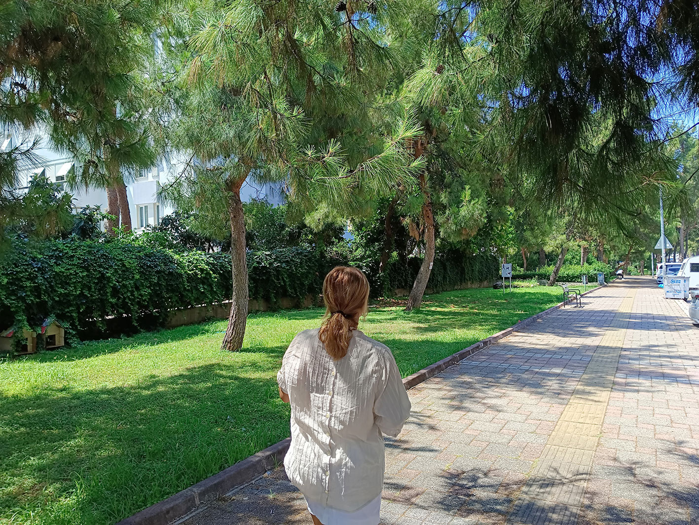 Yesil Mahalle