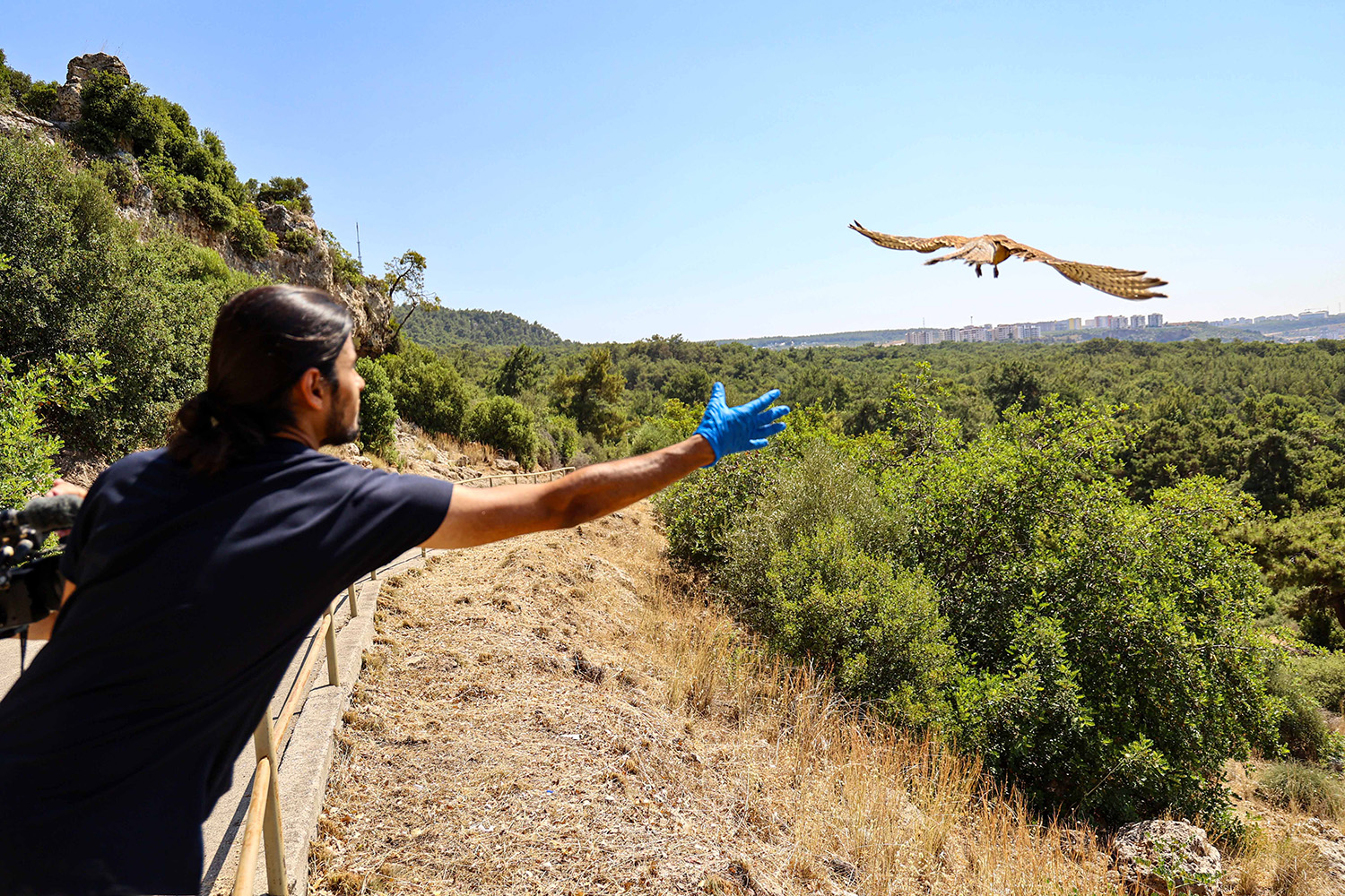 Yetişkinliğe Erişen Kerkenez Yavruları Doğal Ortamlarına Bırakıldı (11)