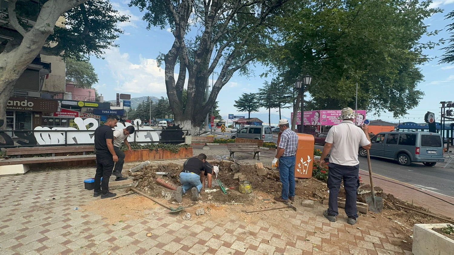 457 Yıllık Anıt Ağacı Akkavak Kökünden Devrildi, Facianın Eşiğinden Dönüldü (4)
