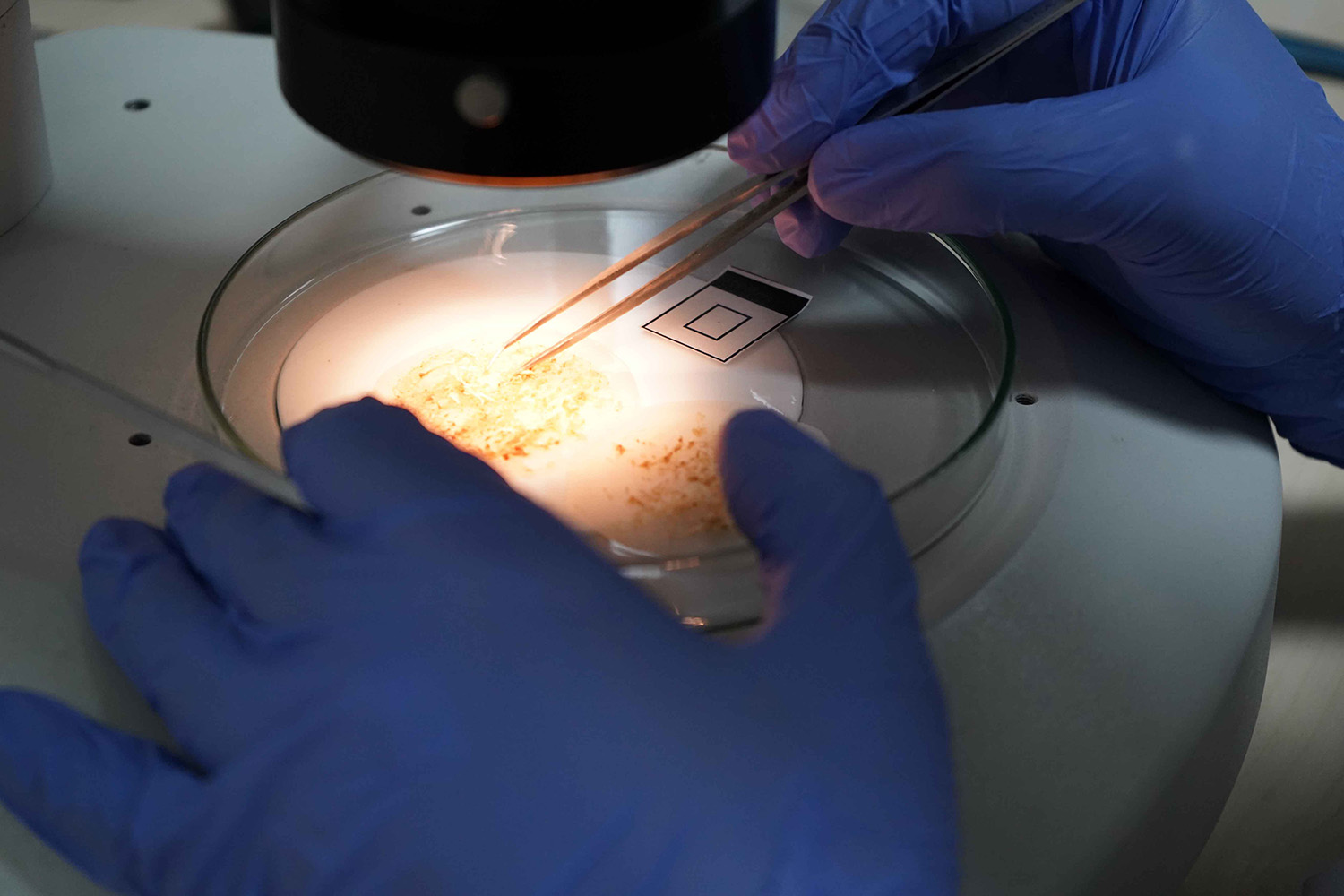 A N T A L Y A M I K R O P L A S T I K T E H L I K E S I G O Z L E G O 826967 245033