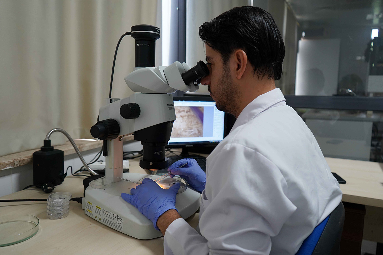 A N T A L Y A M I K R O P L A S T I K T E H L I K E S I G O Z L E G O 826969 245033