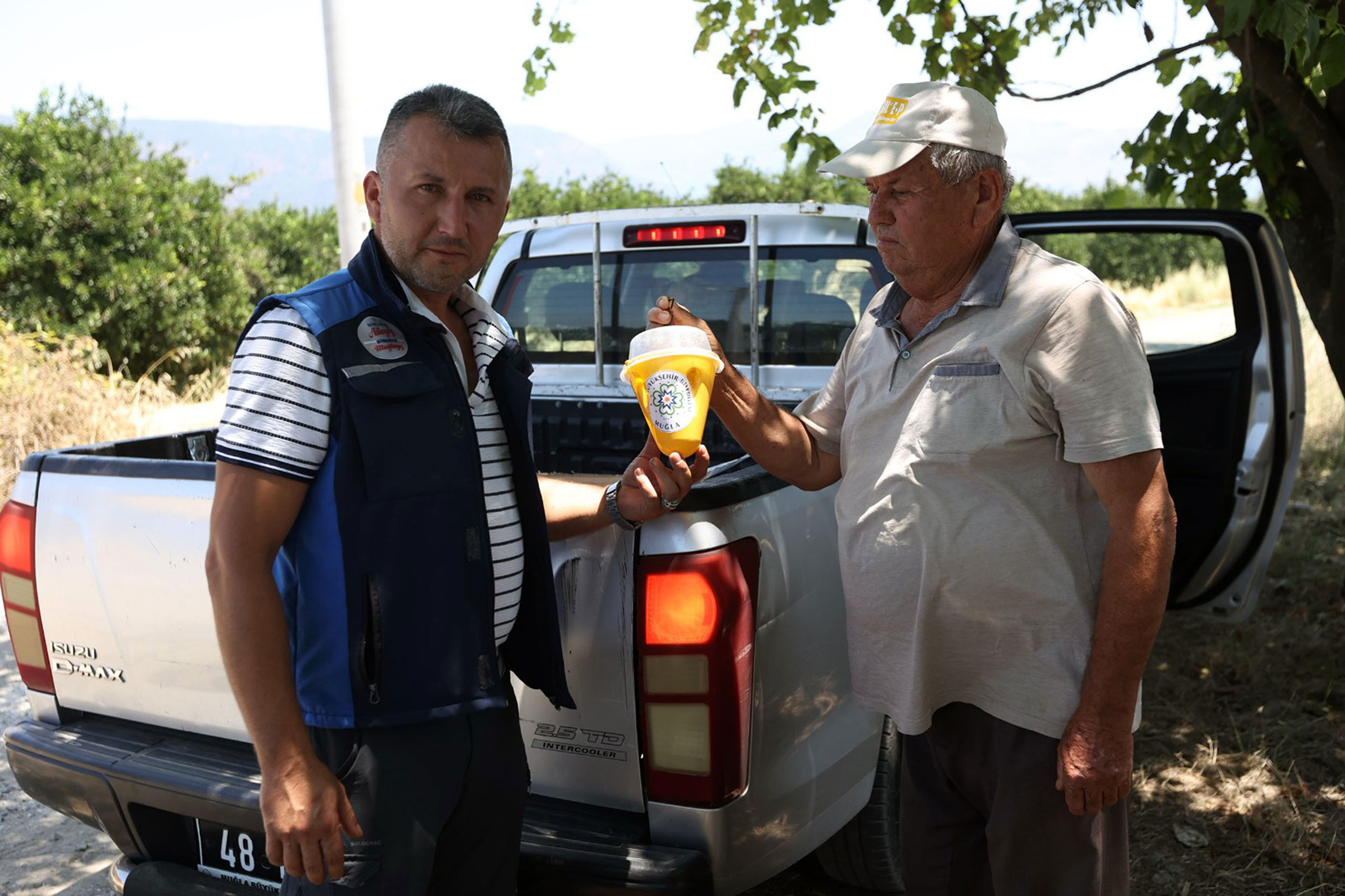 Akdeniz Meyve Sineği Mücadelesi Başladı (3)