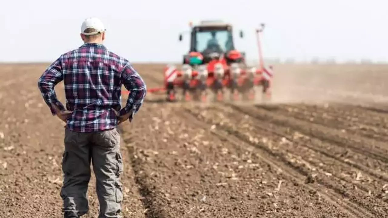 Antalya Da Tarım Bitiyor Mu