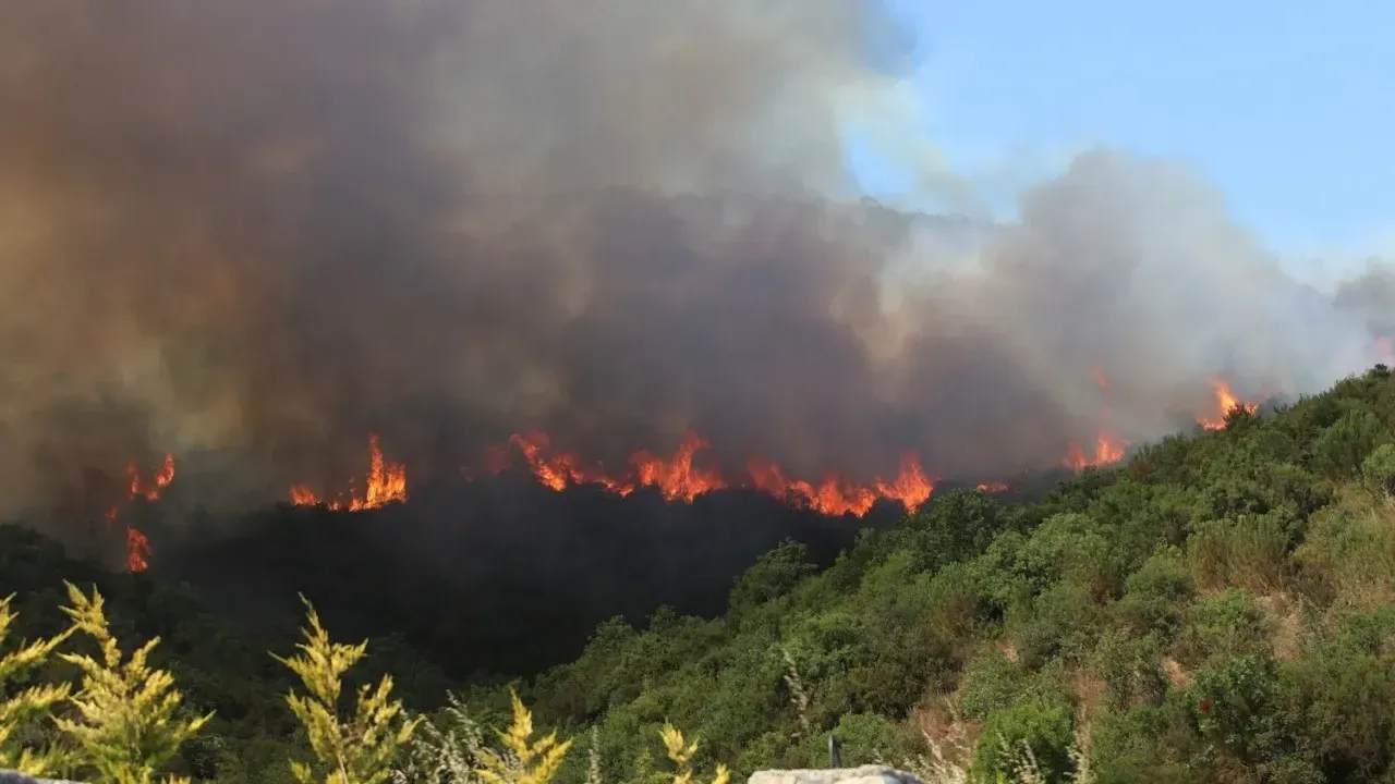 Antalya Orman Yangını