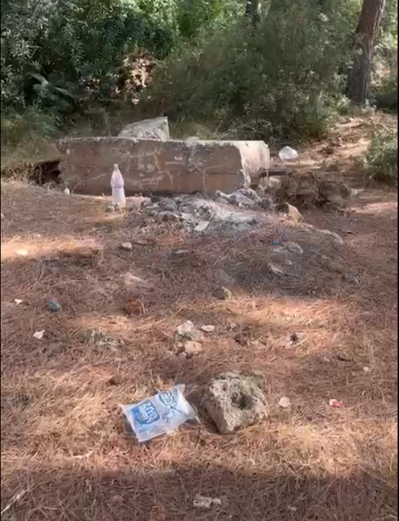 Antalya Santral Mahallesi Ormanlik Alan (2)