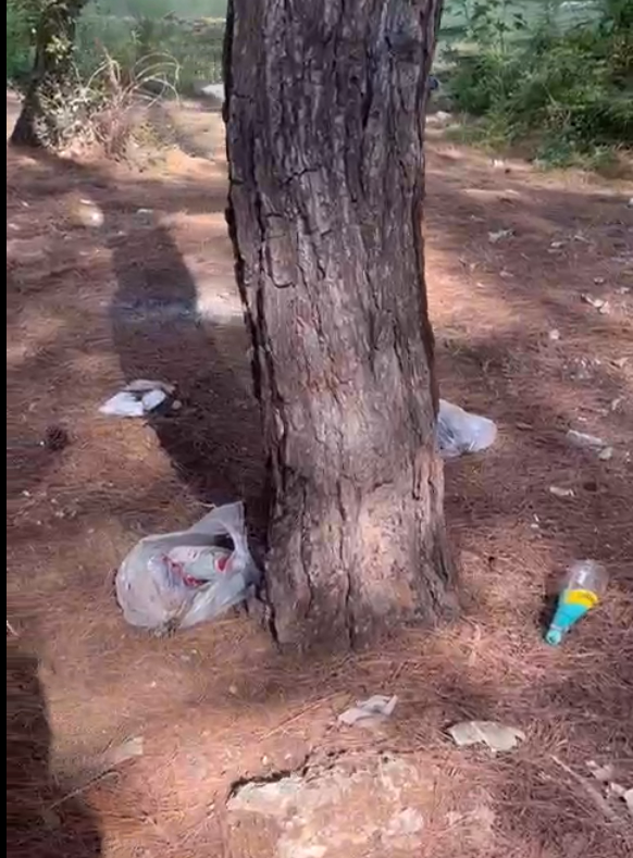 Antalya Santral Mahallesi Ormanlik Alan (3)