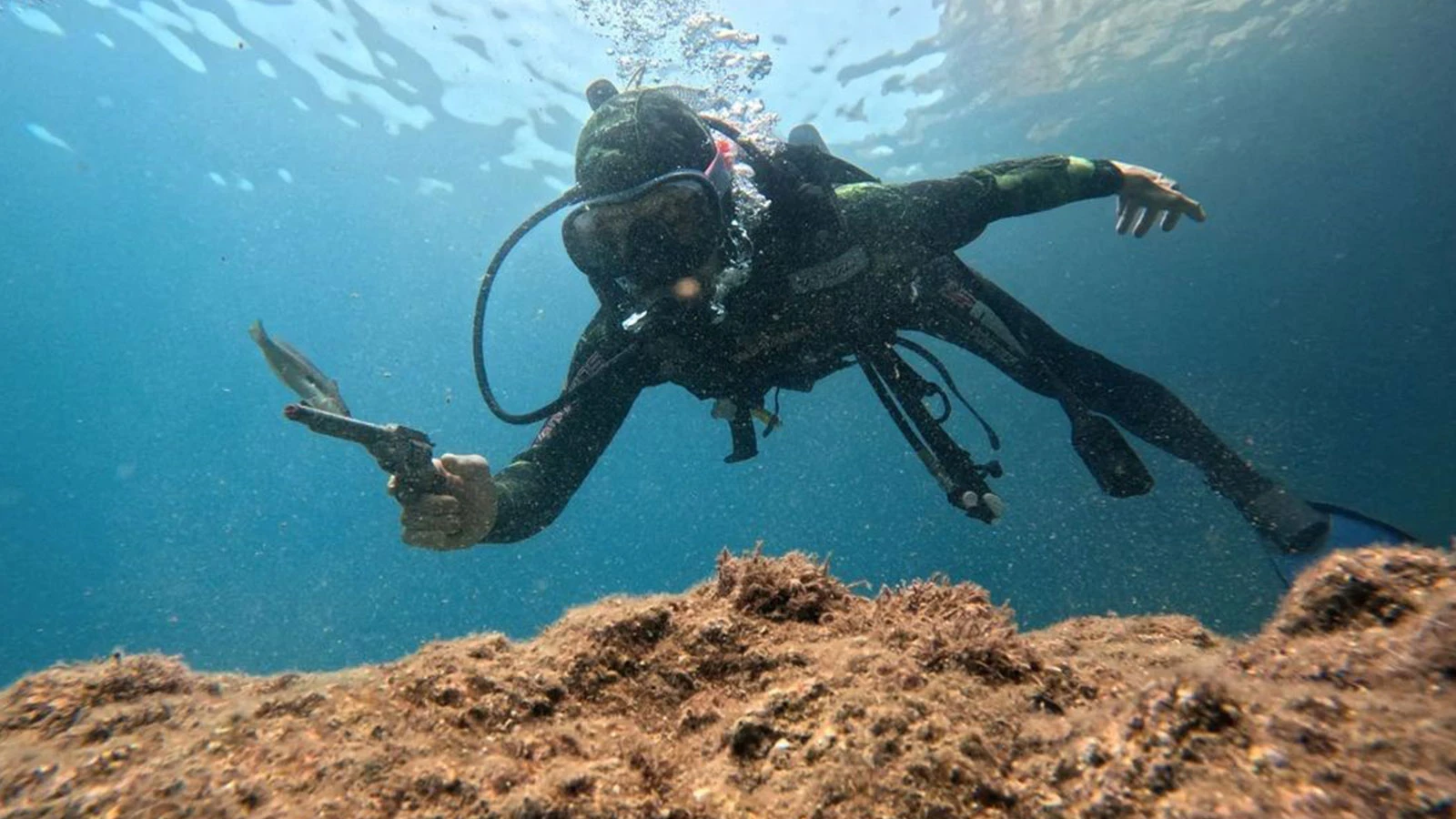 Antalya Turizm Dalisi