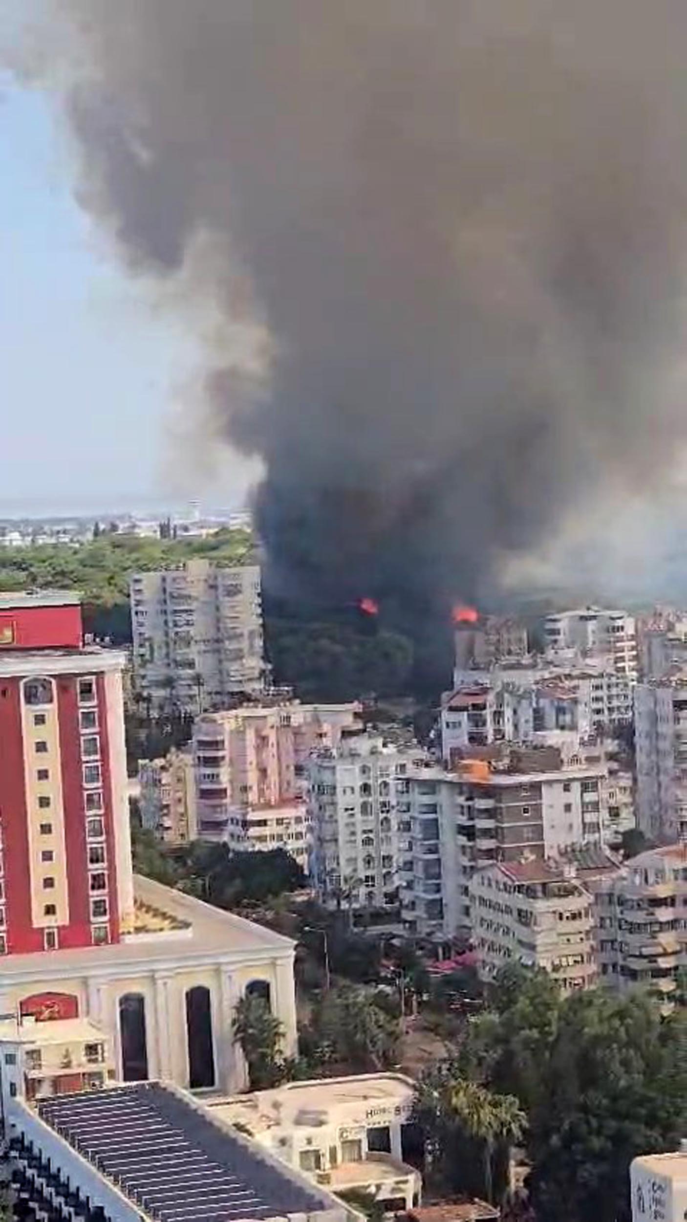 Antalyada Orman Yangını (4)
