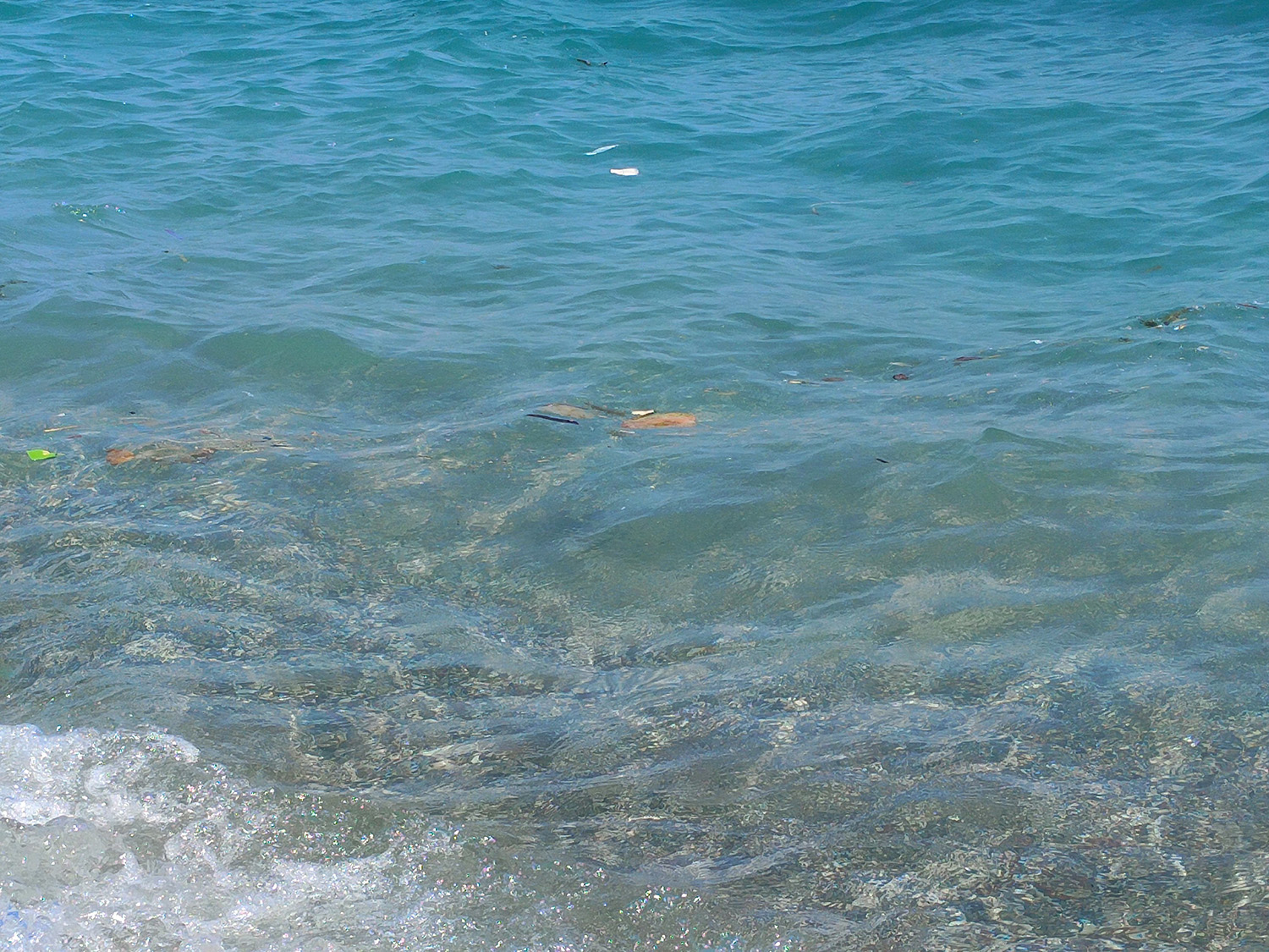 Antalyanın Mavi Bayraklı Plajına Deniz Kirliliği Engeli (1)