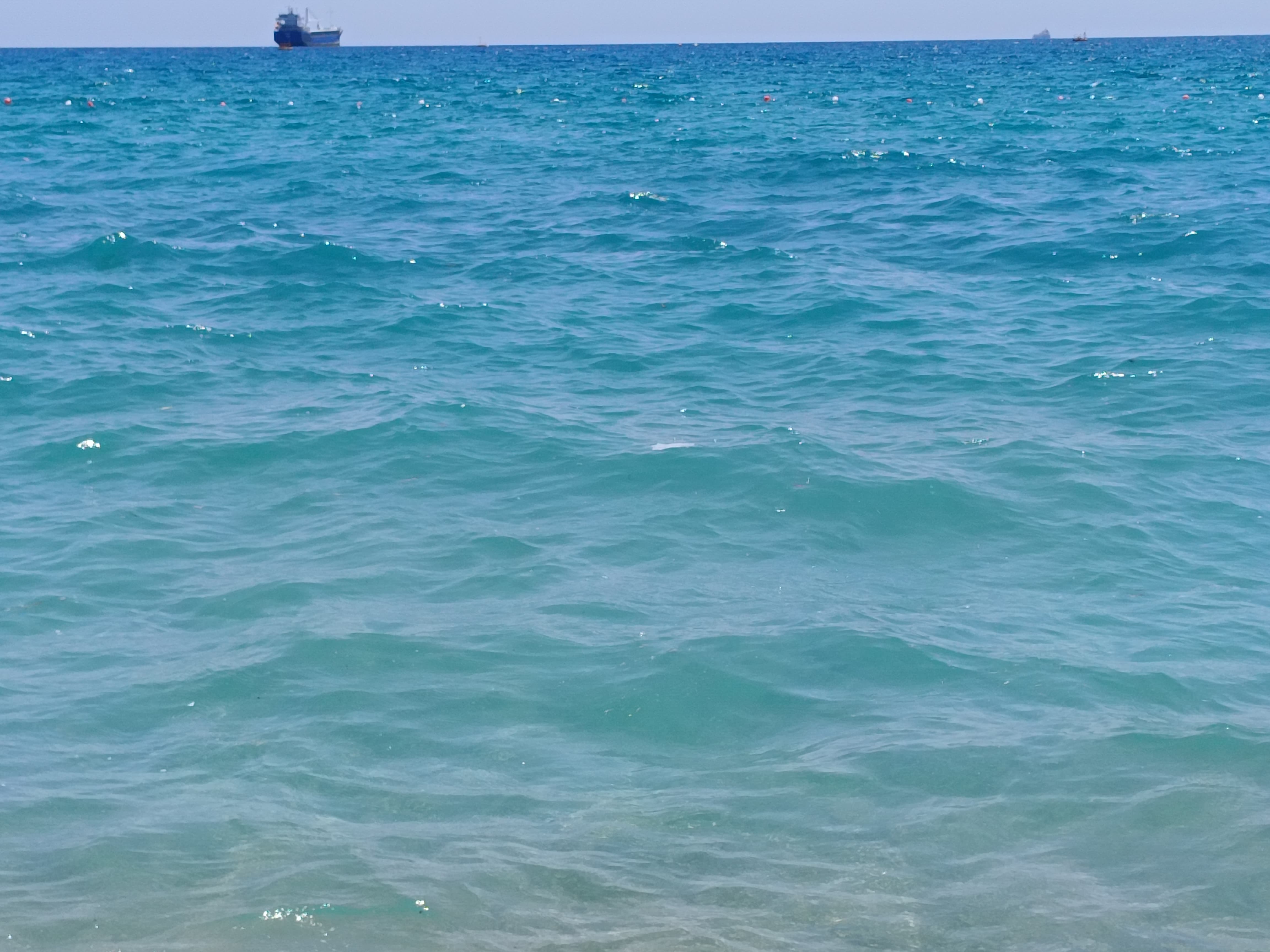 Antalyanın Mavi Bayraklı Plajına Deniz Kirliliği Engeli (3)