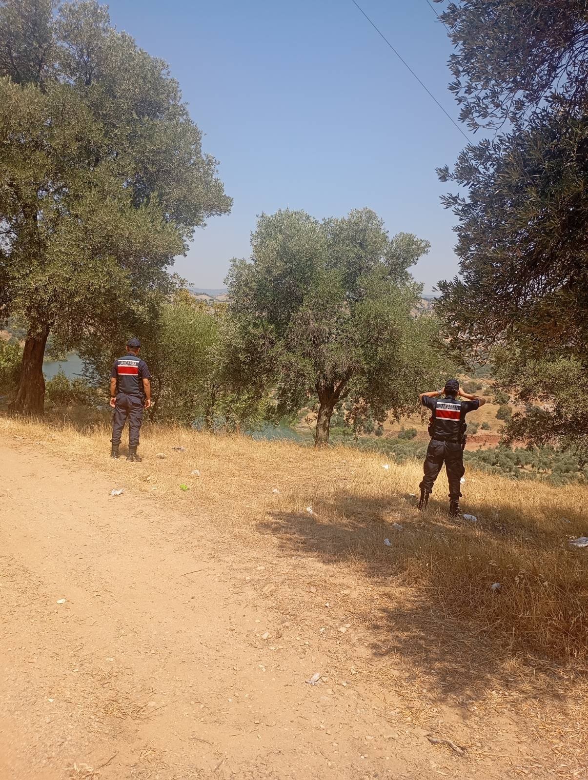 Aydinda Ormanlara Giren Ates Yakanlara Ceza Yagdi (1)