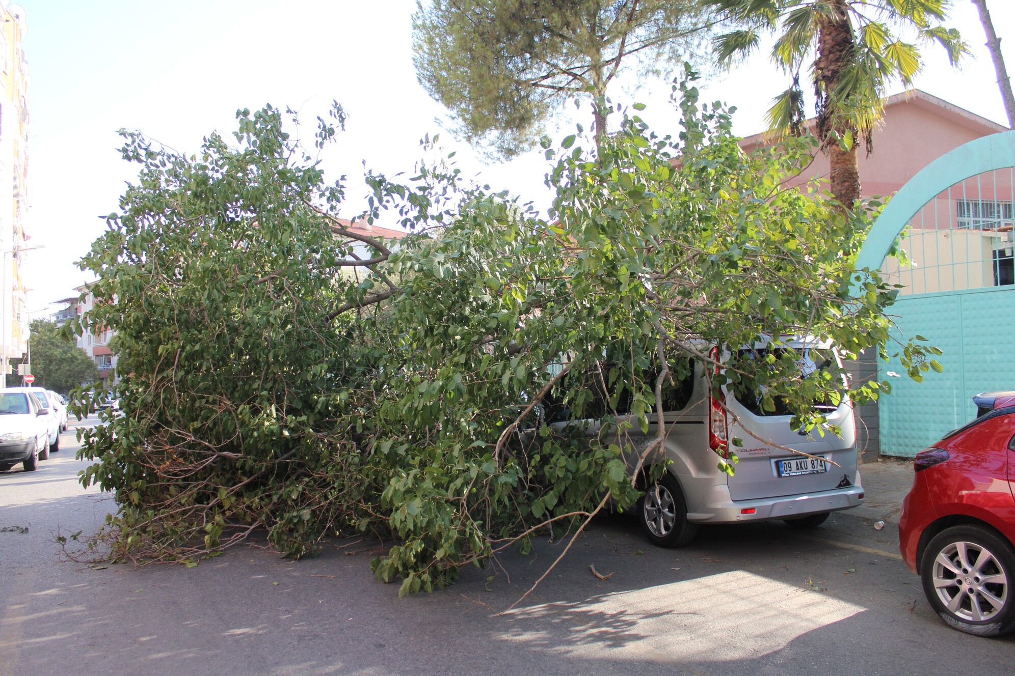 Aydinda Park Halindeki Aracin Ustune Agac Devridli (3)