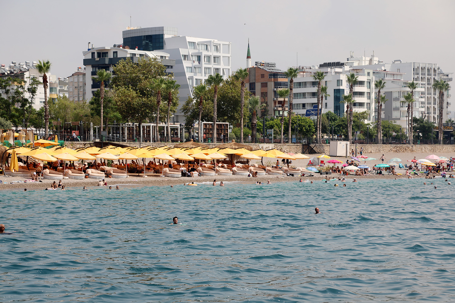 B O G U L M A V A K A L A R I N D A E N B U Y U K N E D E N A S I R 824075 244167