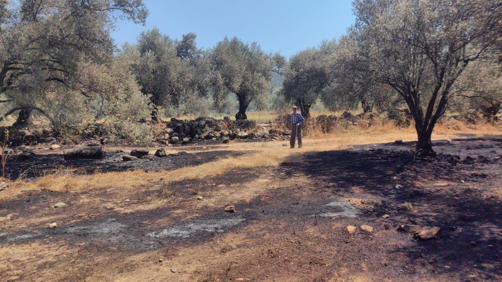 Bir Asirdir Antik Kentte Yasayan Dede Yanginda Bahcesine Kostu (1)