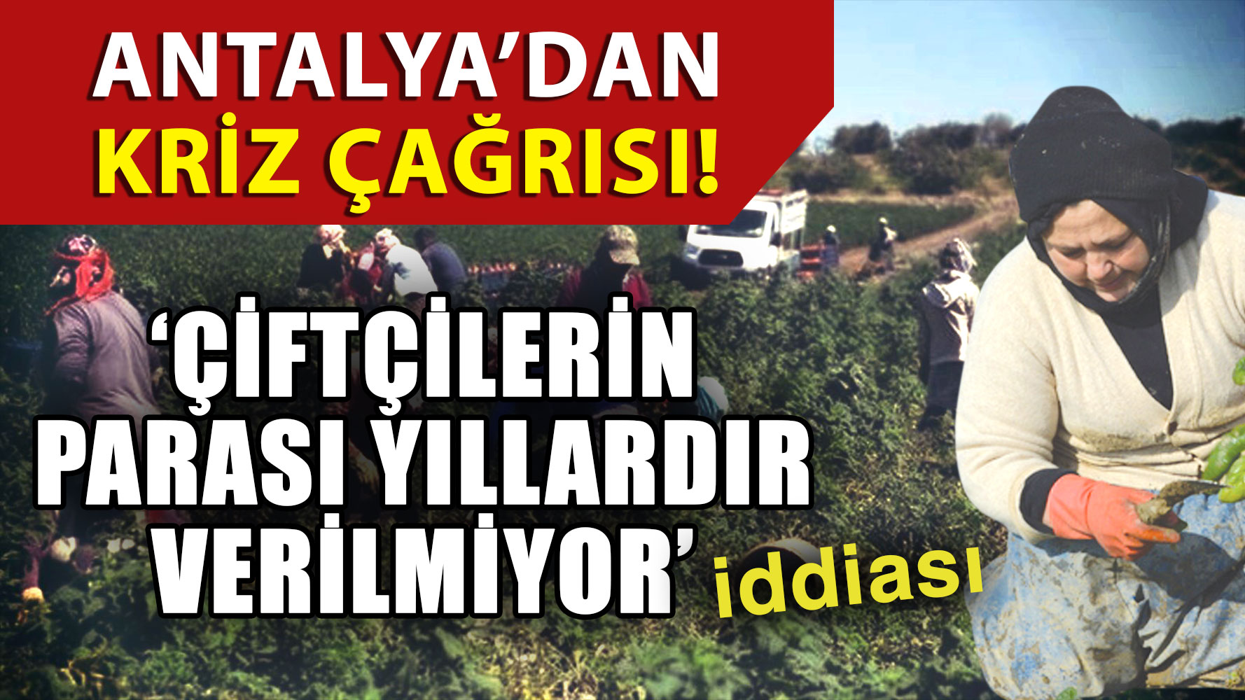 Çiftçi (1)