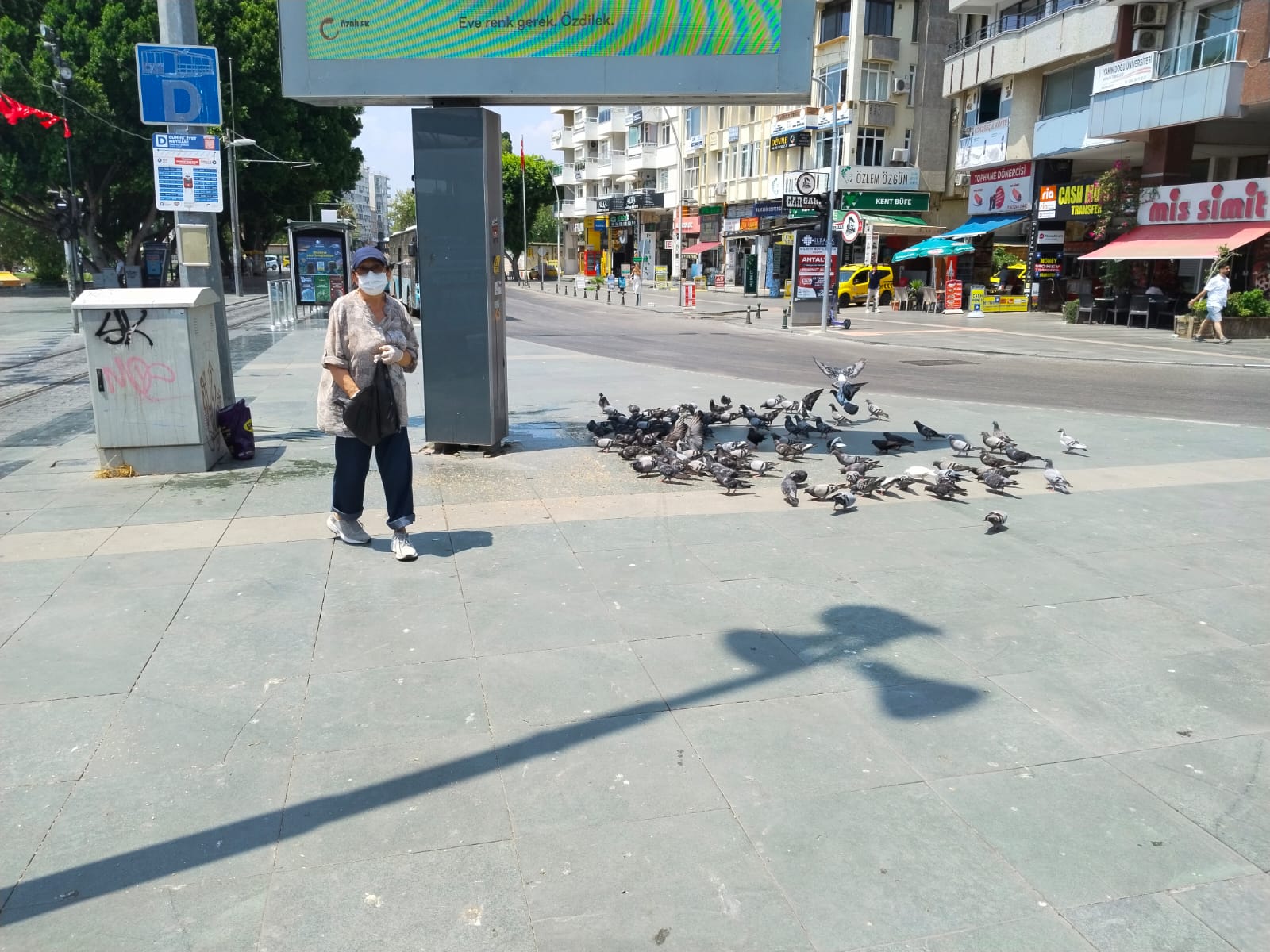 Cumhuriyet Meydani Güvercin