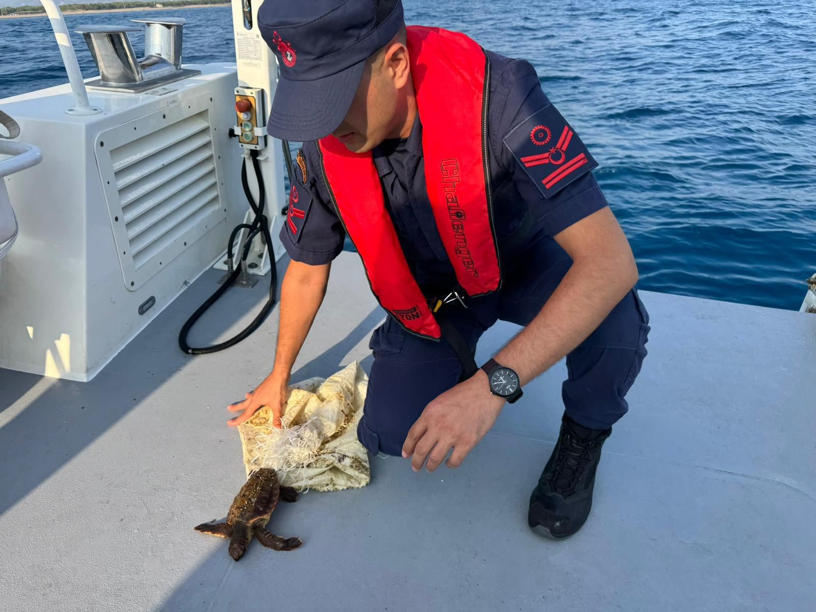 Denizde Çuvala Dolanmış Halde Bulunan Yeşil Deniz Kaplumbağası Kurtarıldı (2)