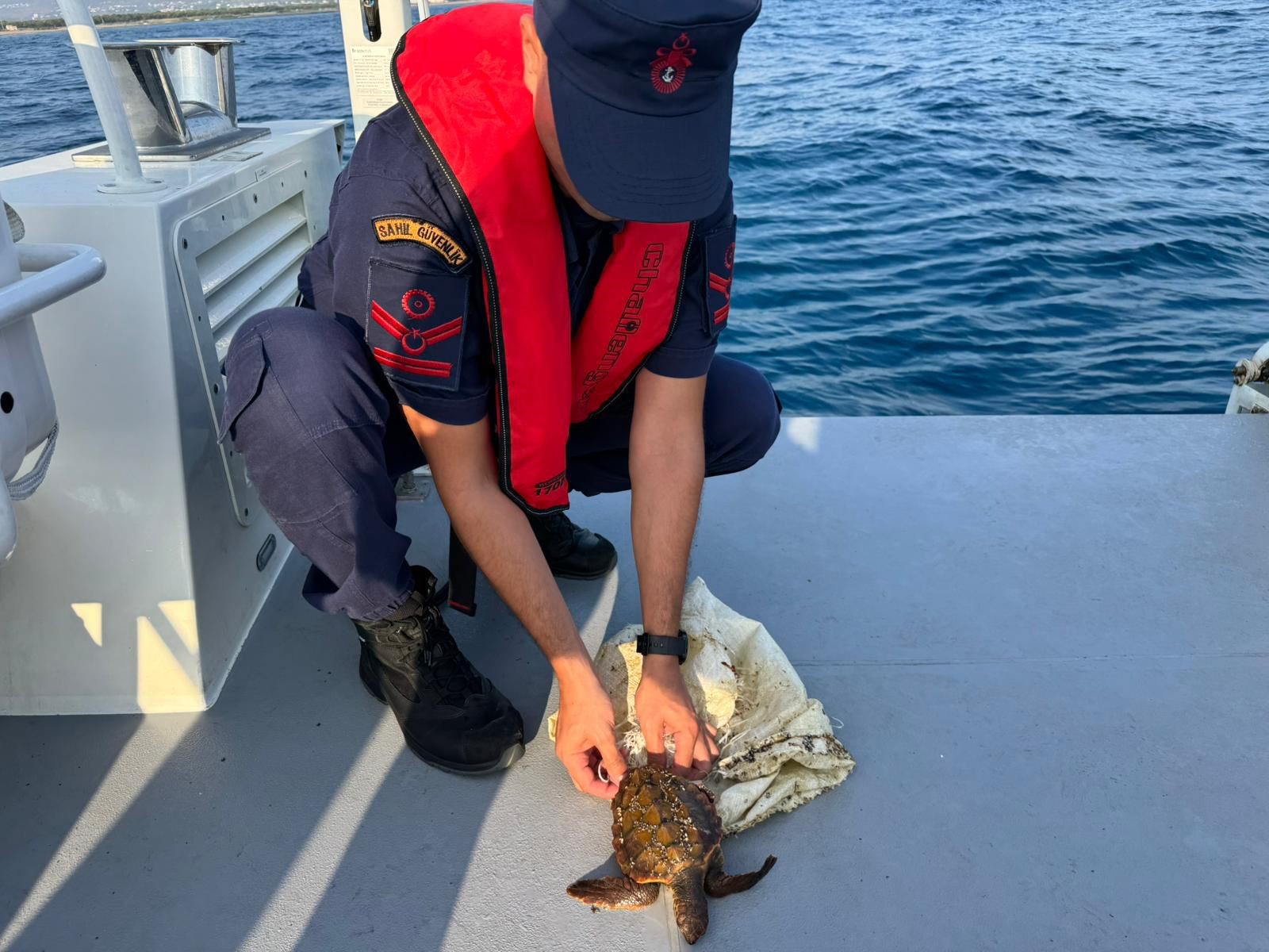 Denizde Çuvala Dolanmış Halde Bulunan Yeşil Deniz Kaplumbağası Kurtarıldı (3)